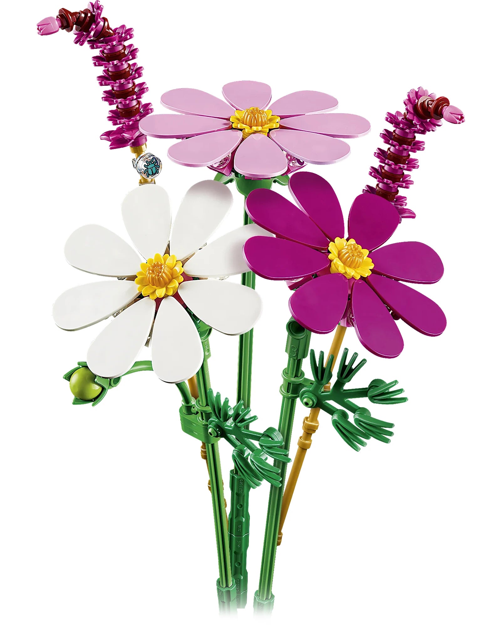 11514 Cosmos Flowers