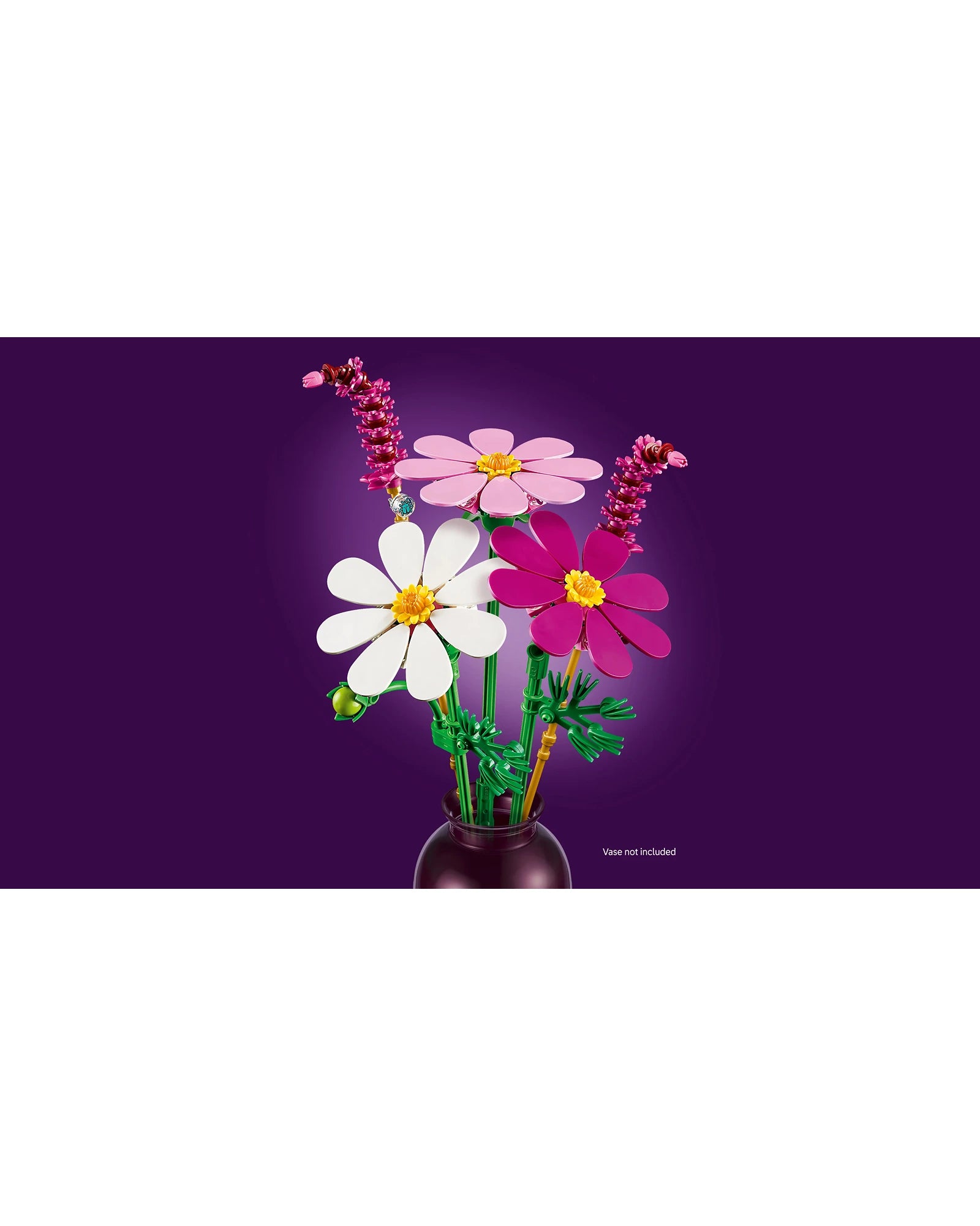 11514 Cosmos Flowers