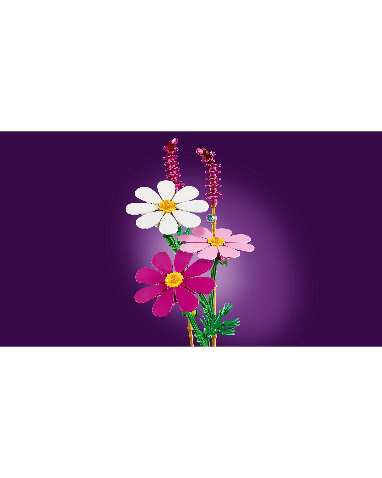 11514 Cosmos Flowers