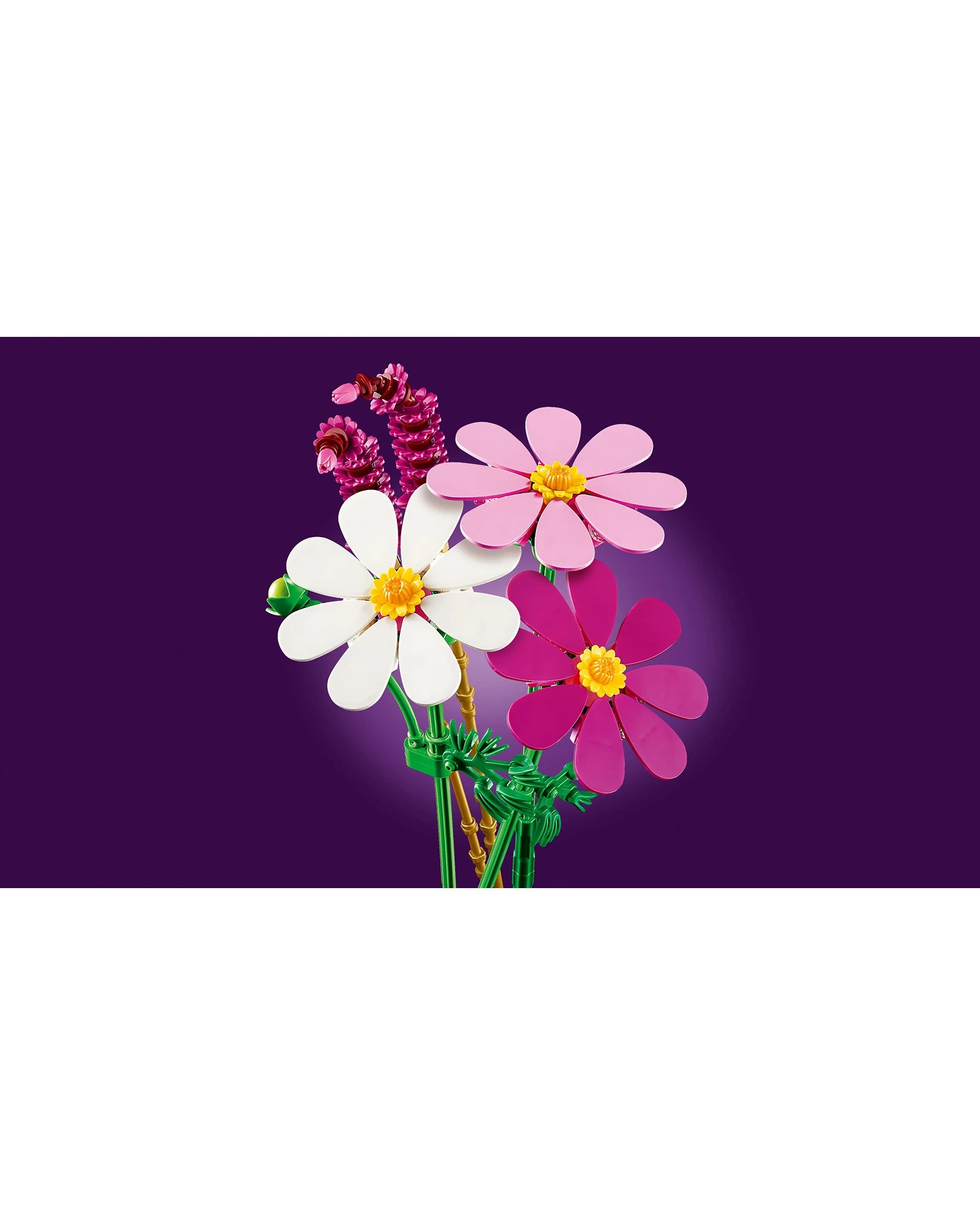 11514 Cosmos Flowers