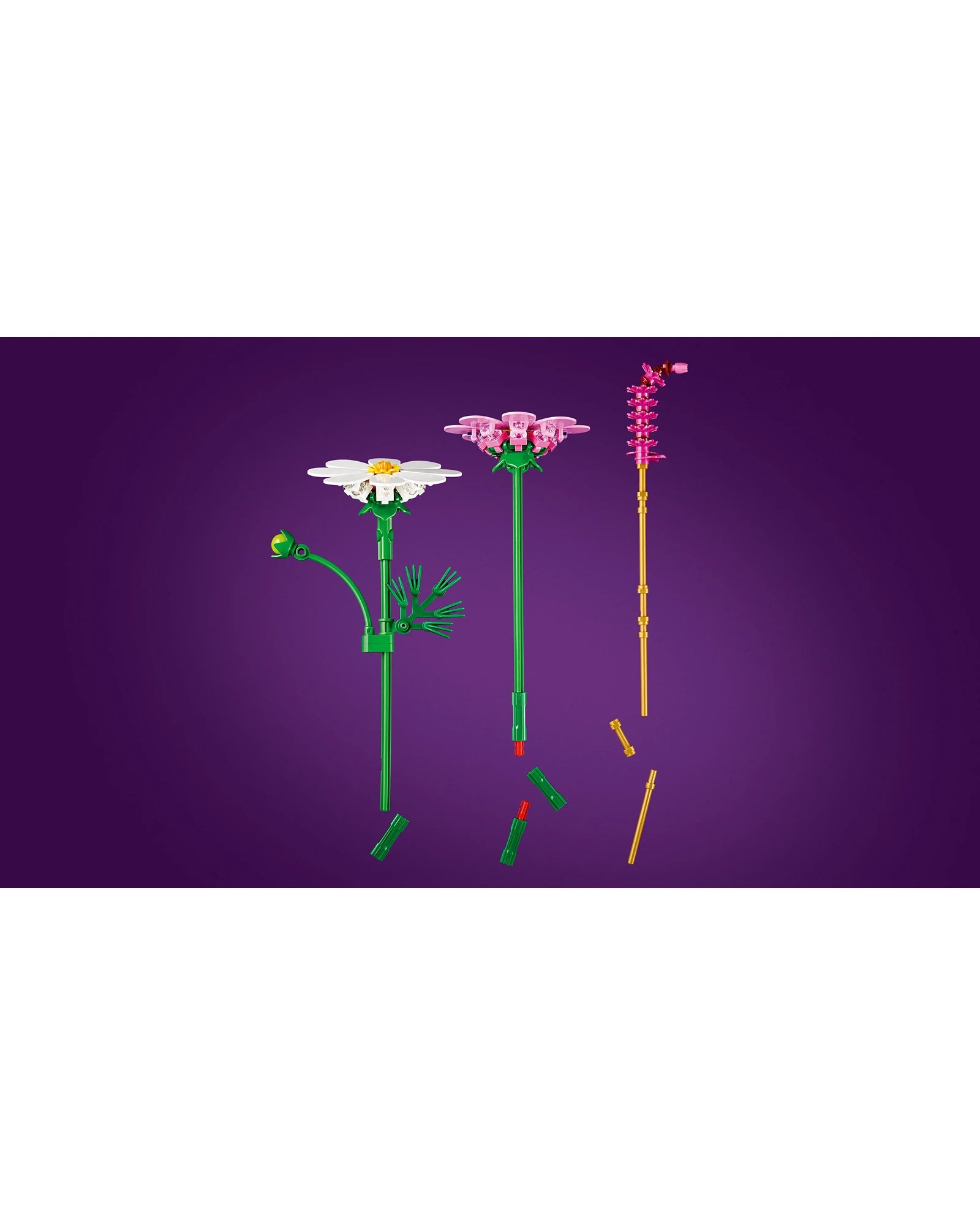 11514 Cosmos Flowers