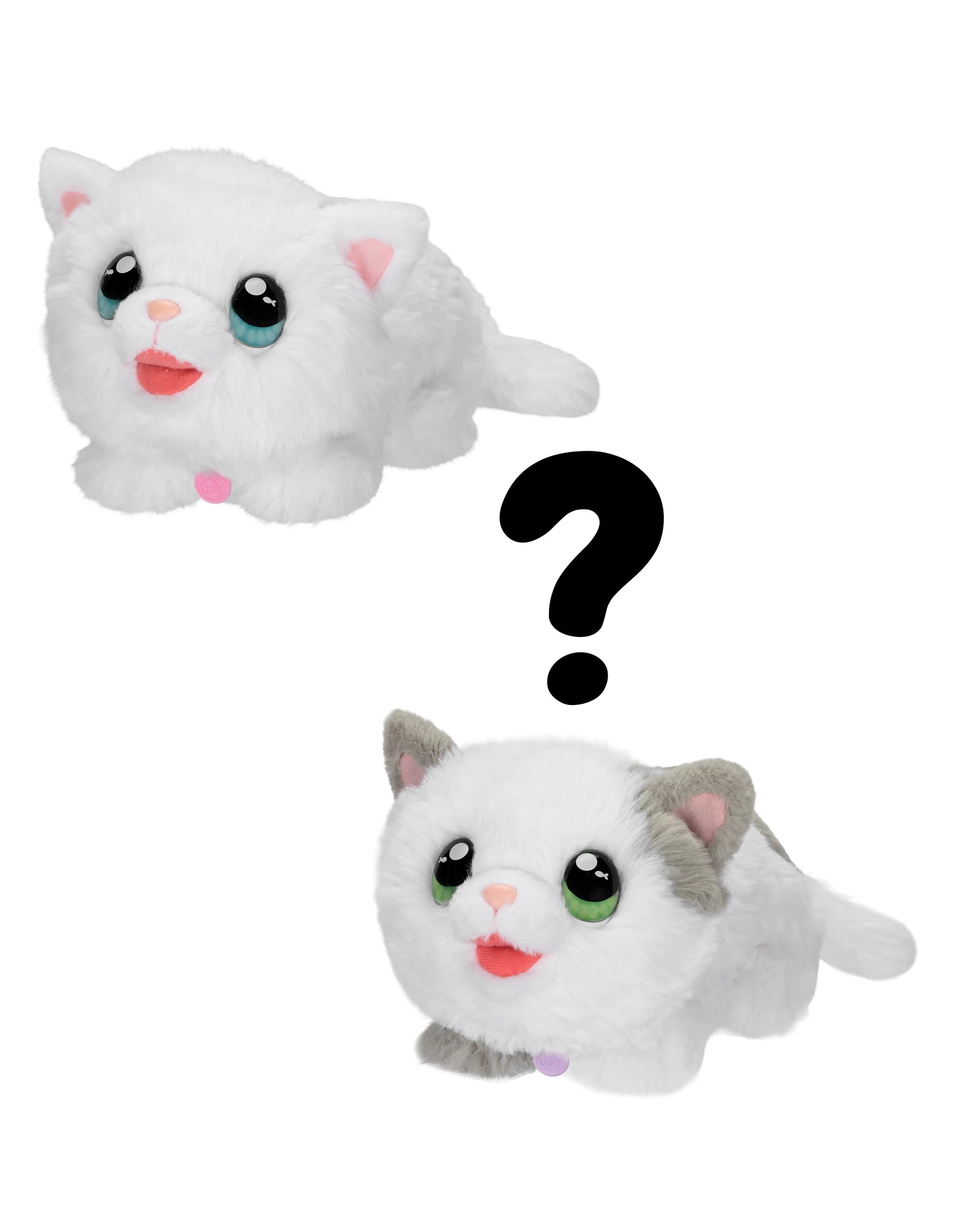 Little Live Pets My Kittys Home - Assorted