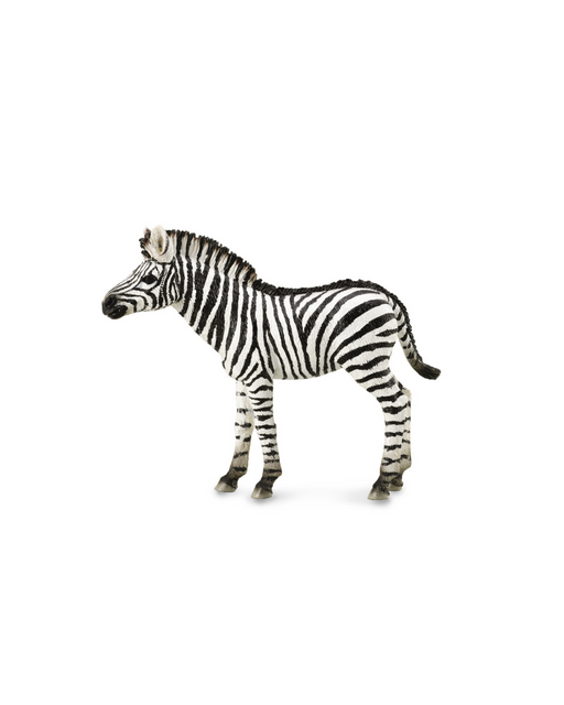 Collecta Zebra Foal Medium