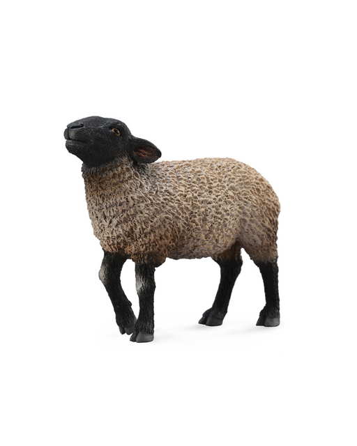 Collecta Suffolk Sheep Medium