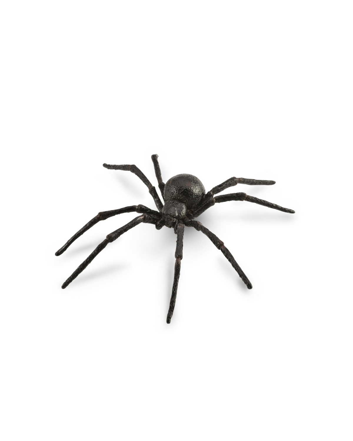CollectA Black Widow Spider Large – Kidstuff
