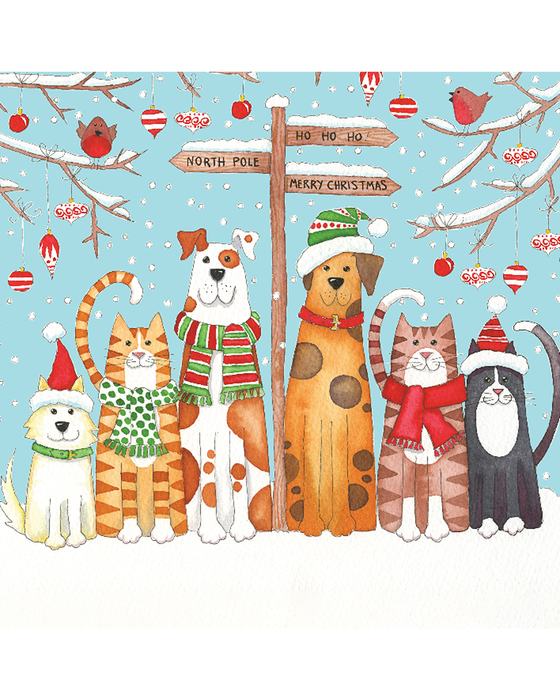 Waterlyn Christmas Boxed Cards Cats and Dogs