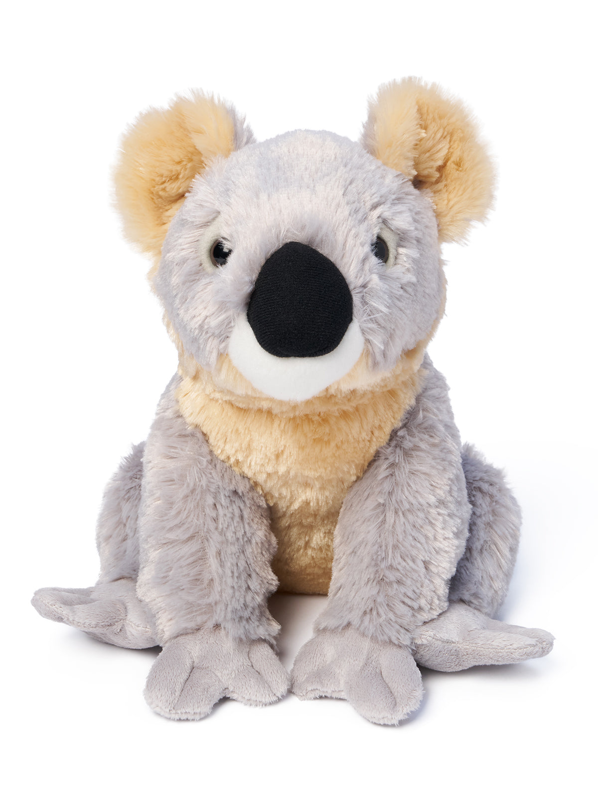 Kobe Koala