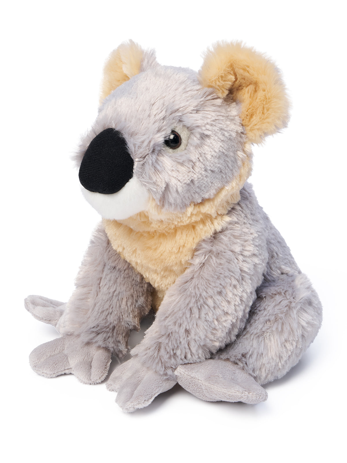 Kobe Koala