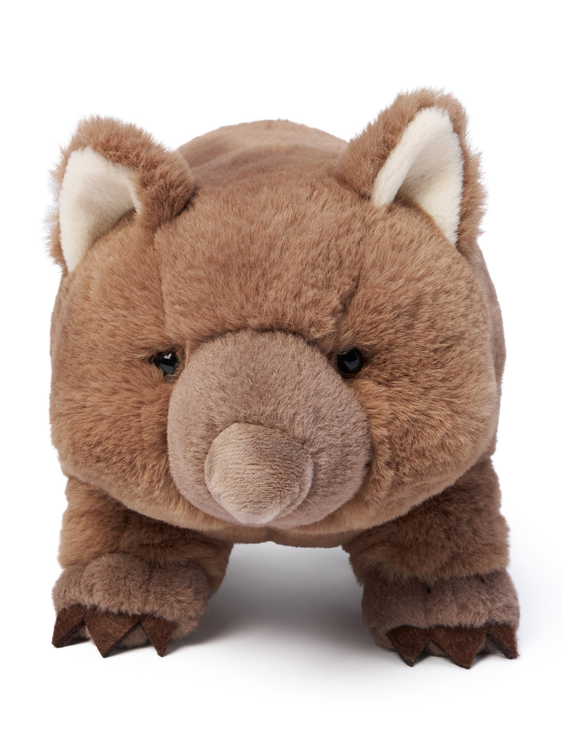 Wilbur Wombat