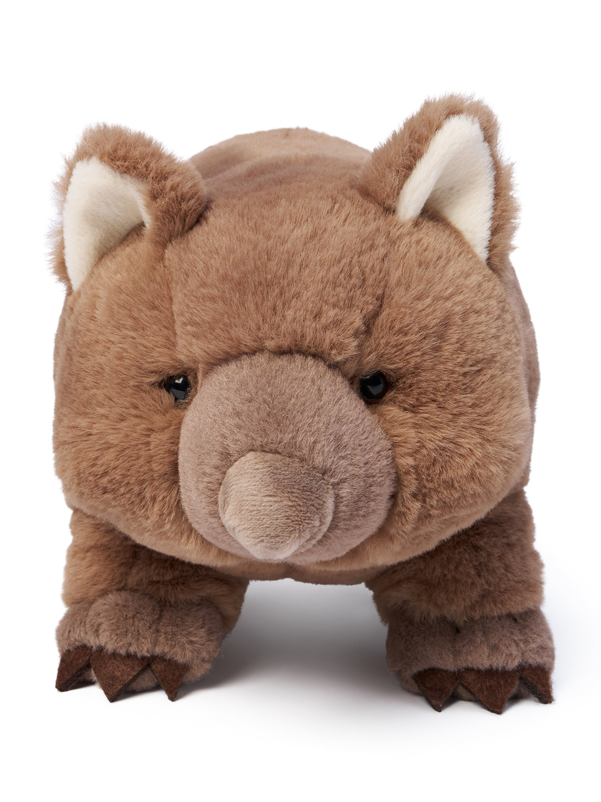 Wilbur Wombat