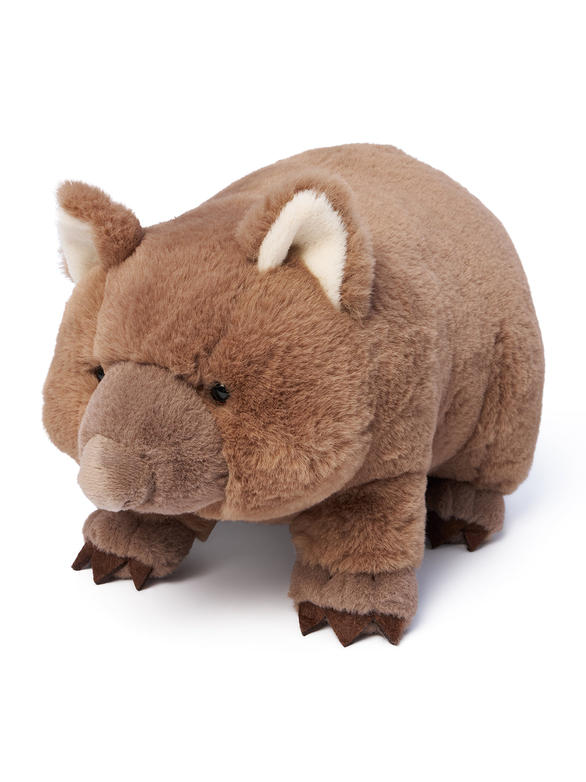 Wilbur Wombat
