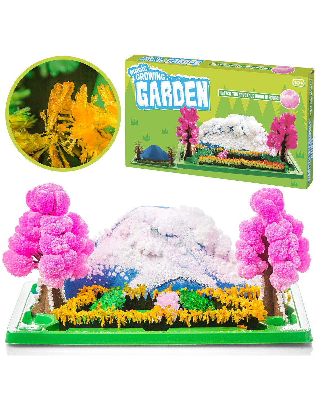 Magic Growing Garden