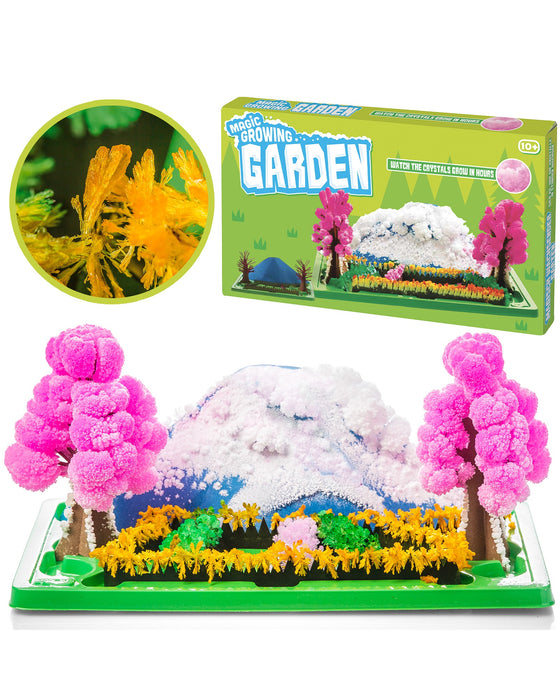 Fizz Fun Magic Growing Garden