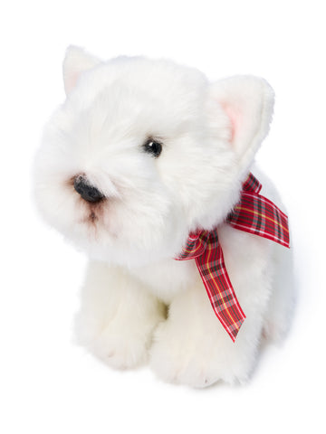 Hamish West Highland Terrier