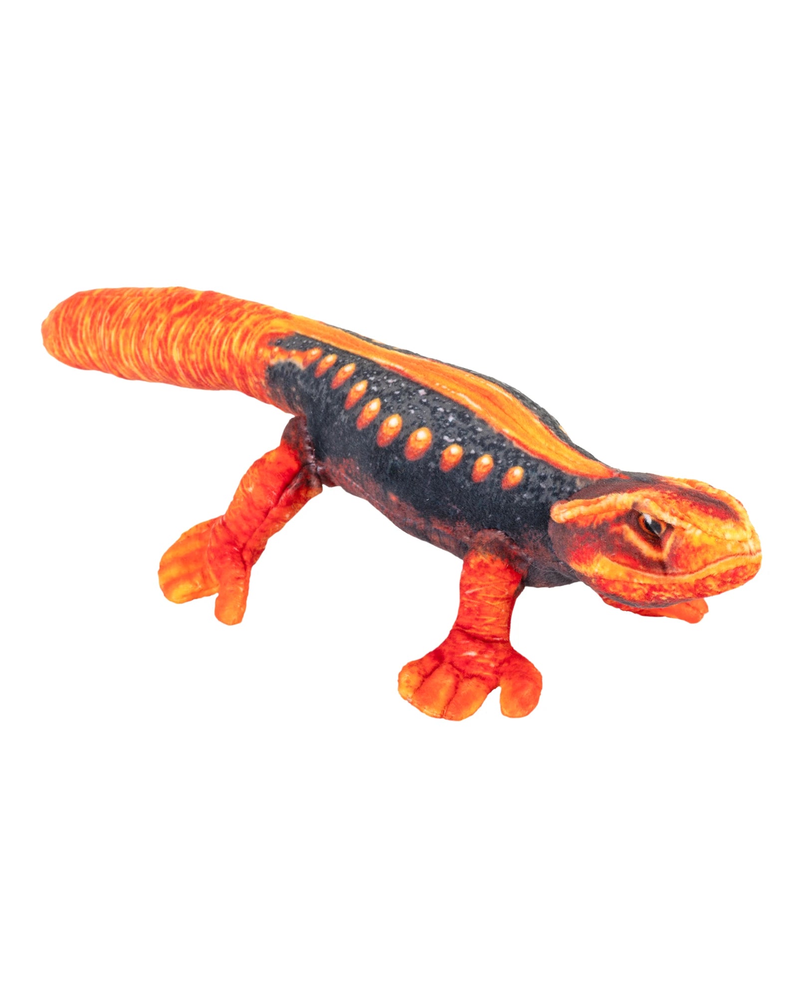 Wild Republic Coilkins Newt Himalayan 12" / 30cm