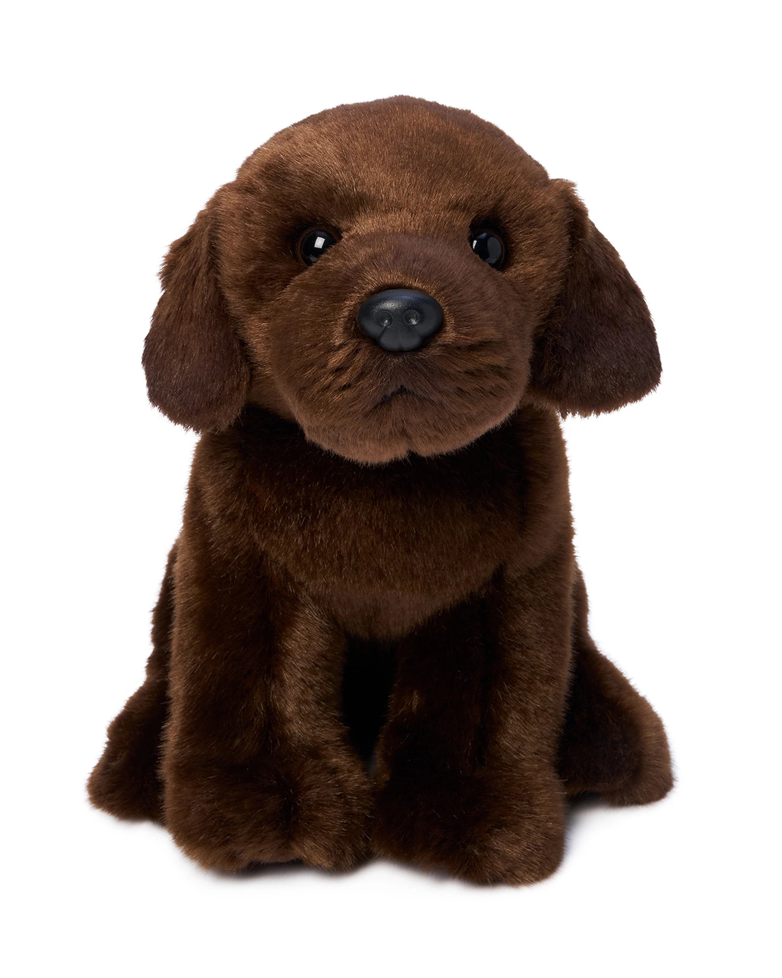 Milo Labrador