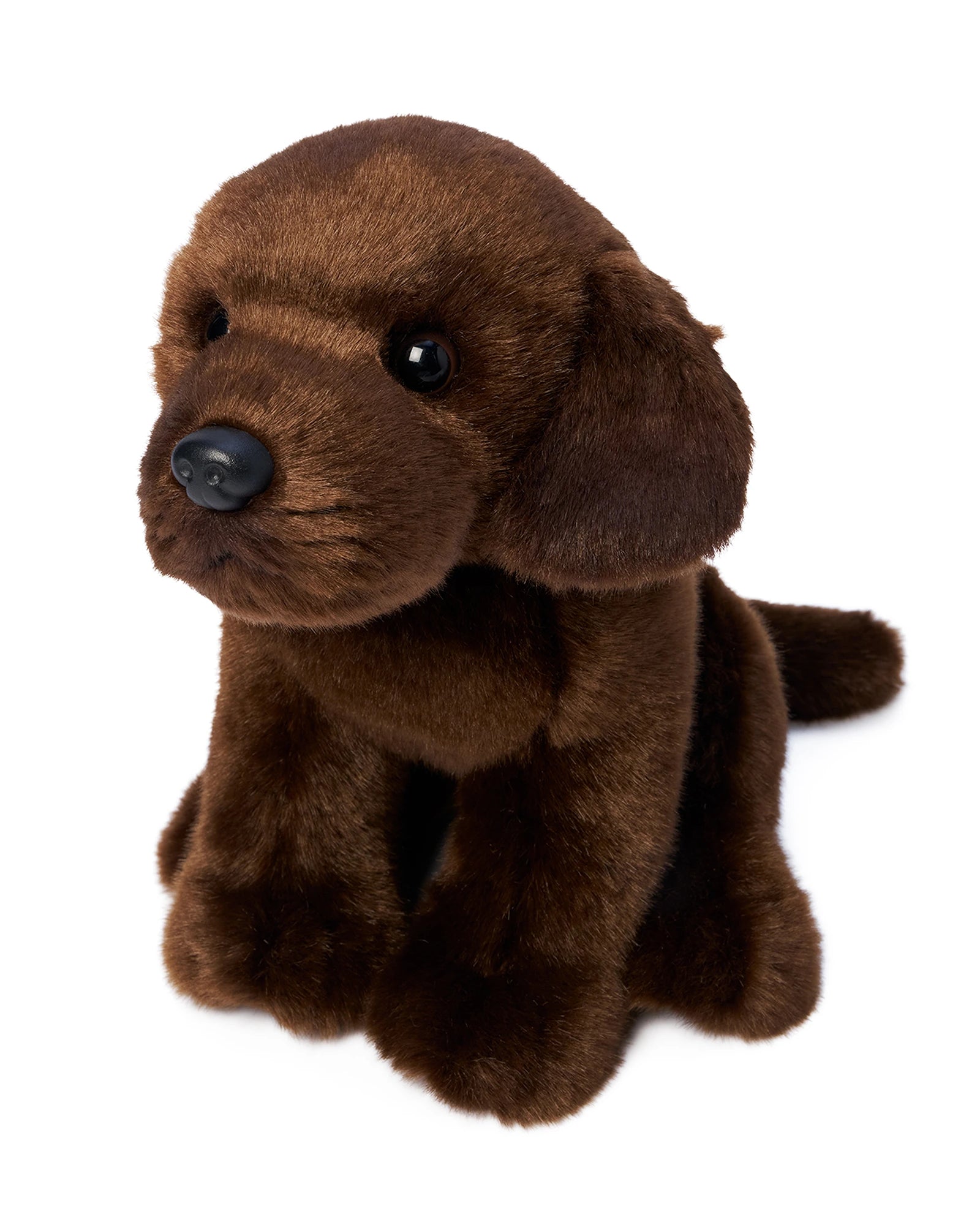 Milo Labrador