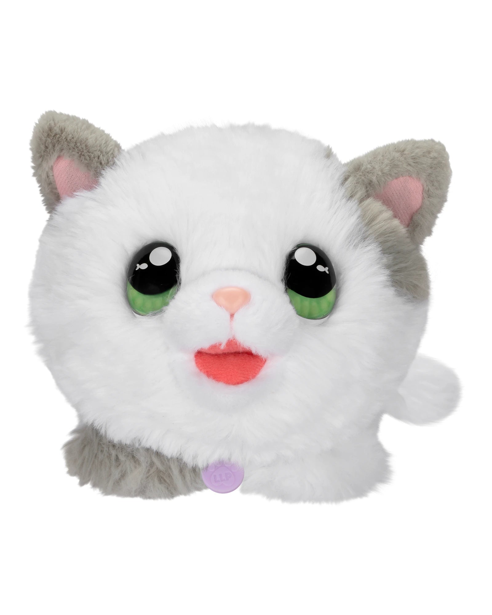 Little Live Pets My Kittys Home - Assorted