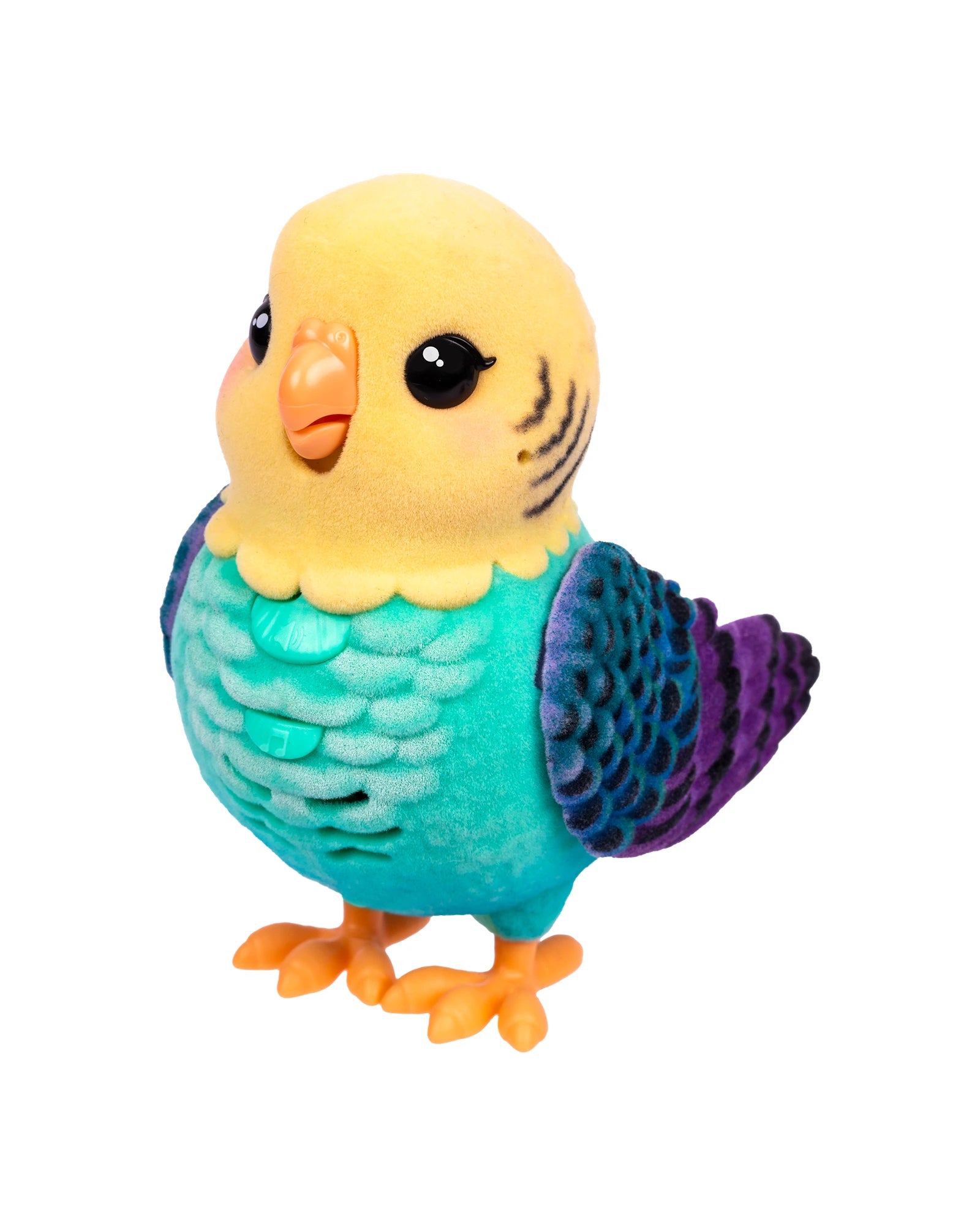 LLP My Really Real Bird & Cage - Assorted