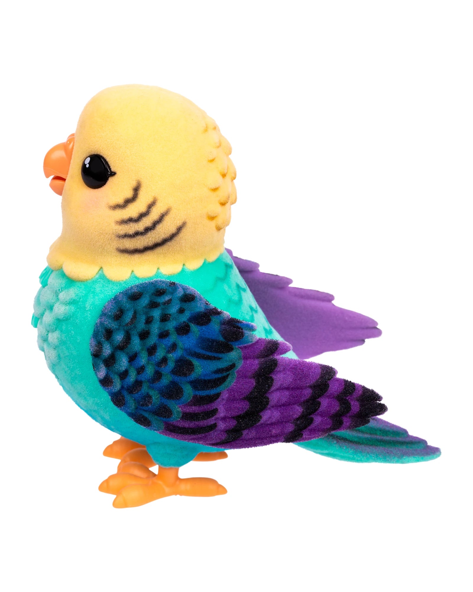 LLP My Really Real Bird & Cage - Assorted