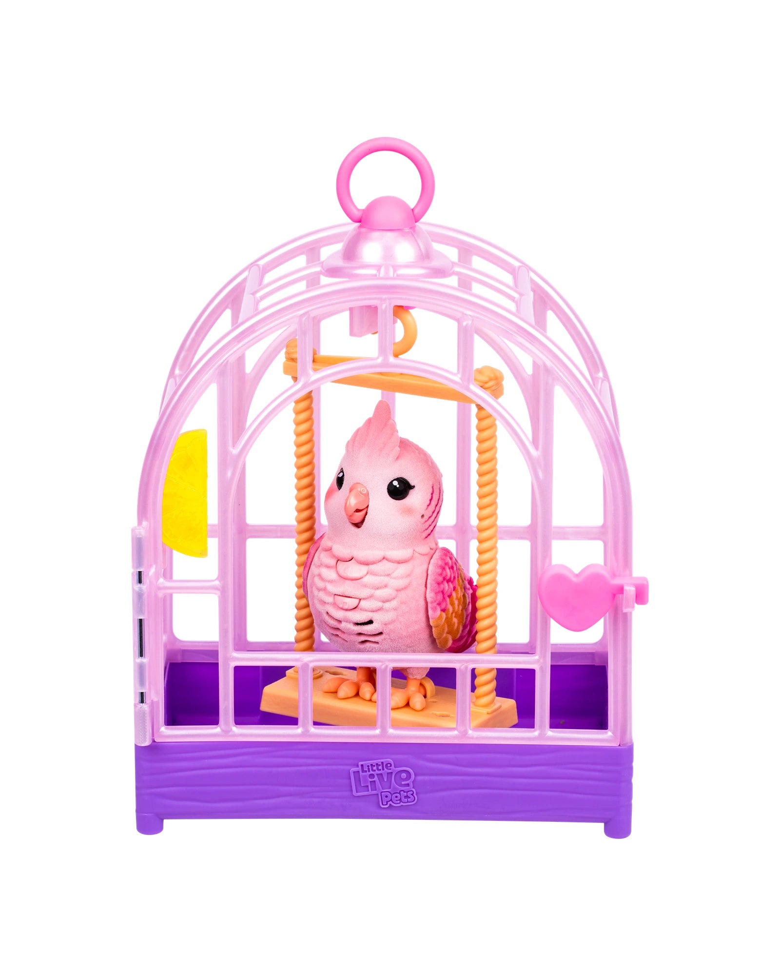 LLP My Really Real Bird & Cage - Assorted