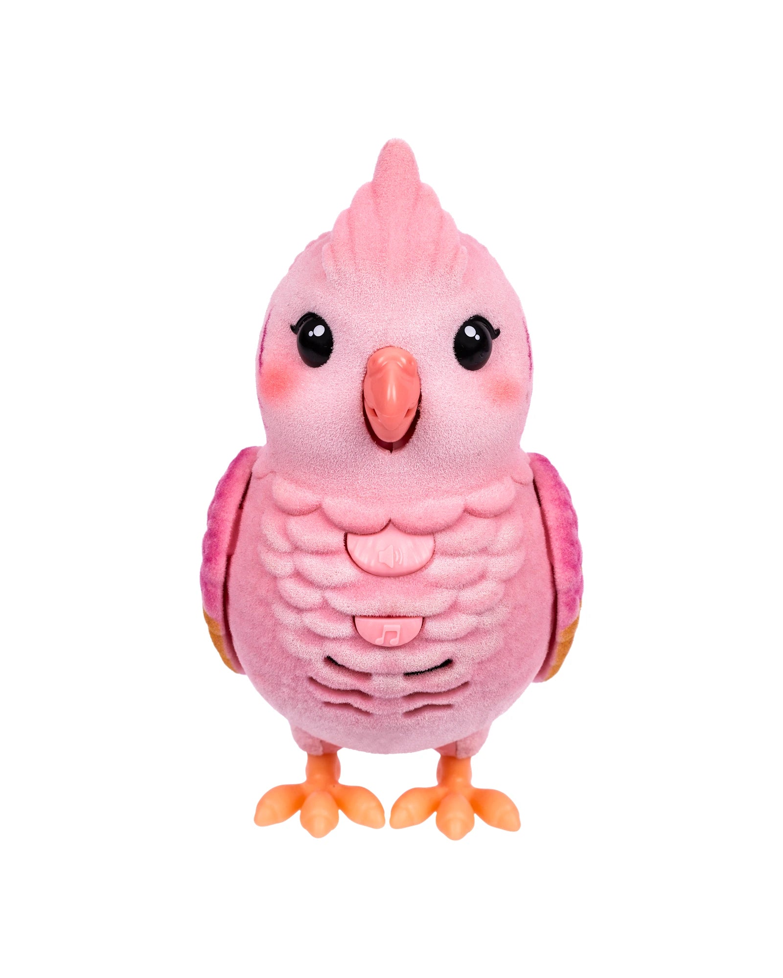 LLP My Really Real Bird & Cage - Assorted
