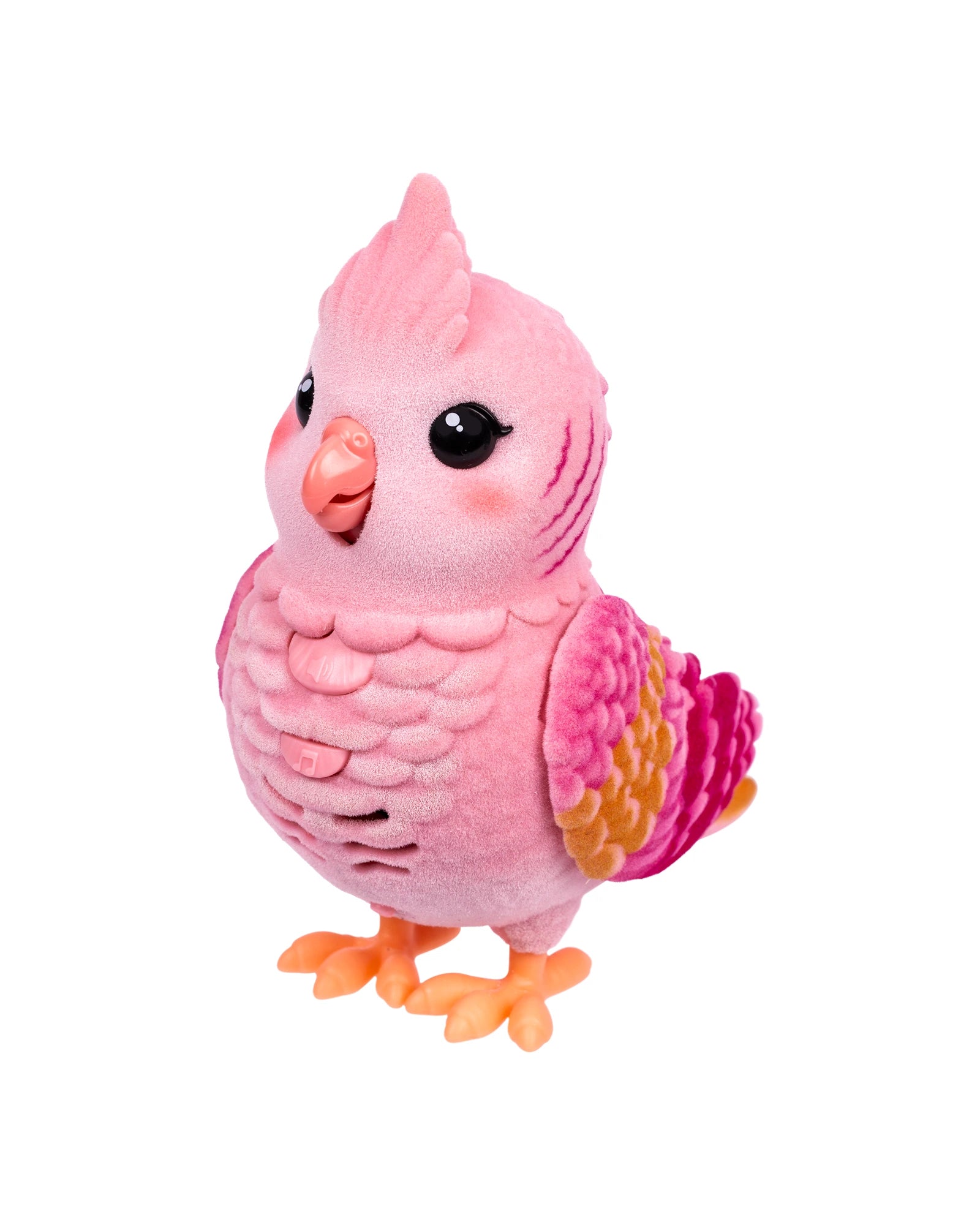 LLP My Really Real Bird & Cage - Assorted