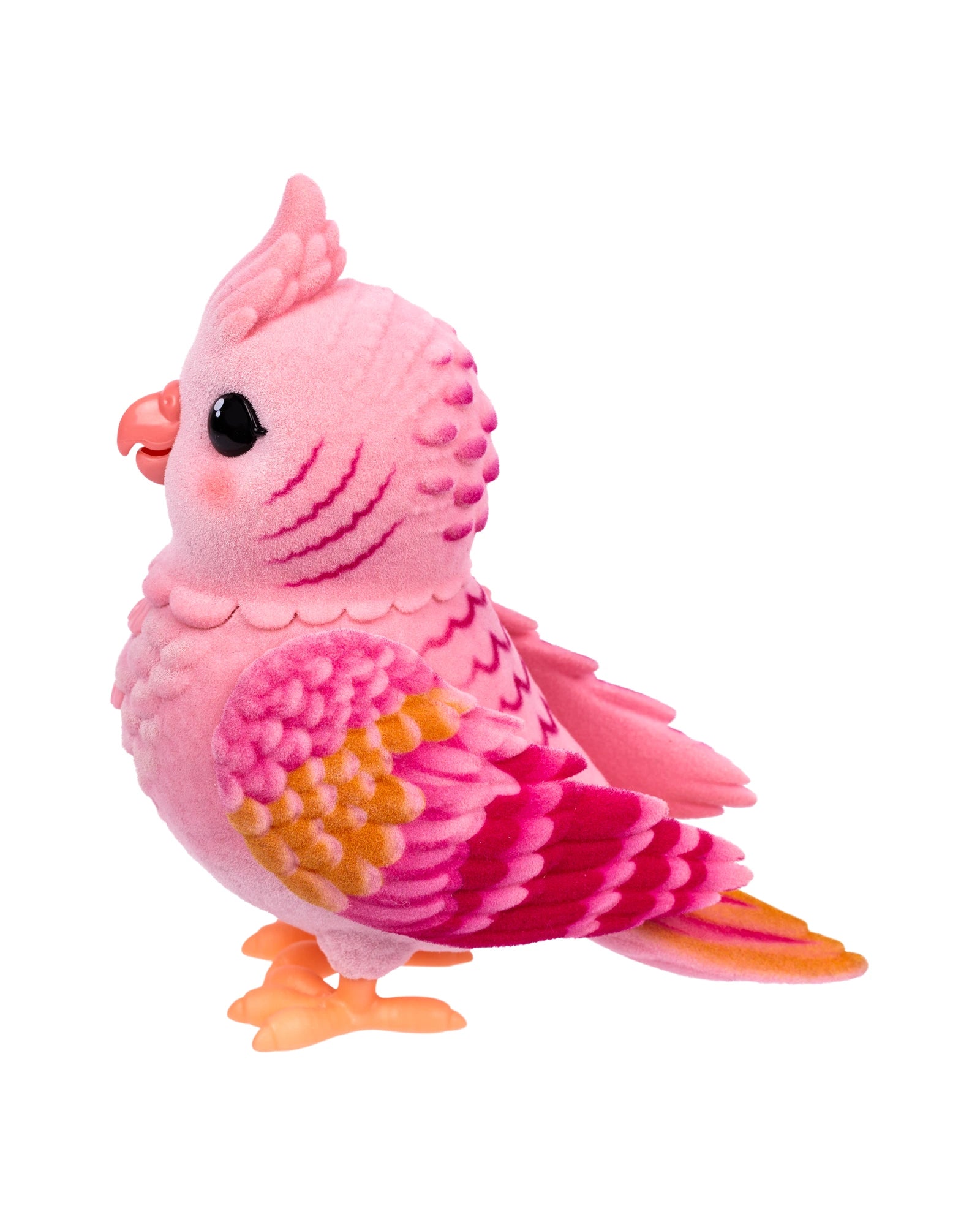 LLP My Really Real Bird & Cage - Assorted