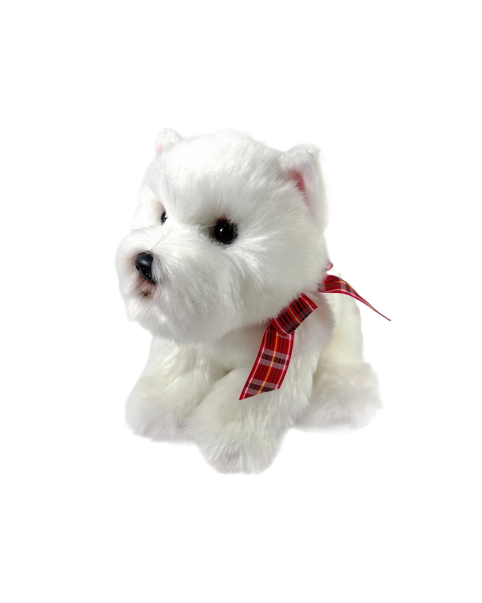 Hamish West Highland Terrier