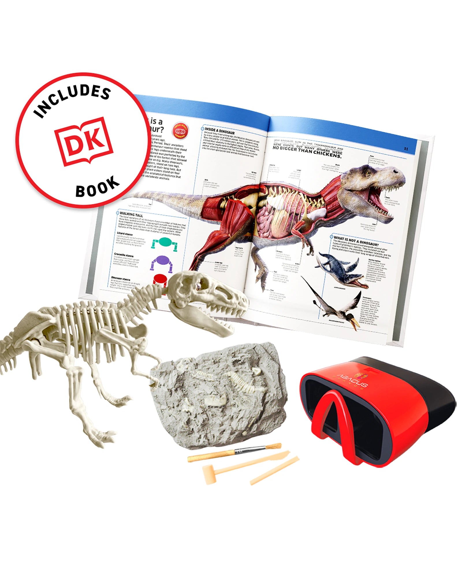 VR Gift Box Dinosaurs!