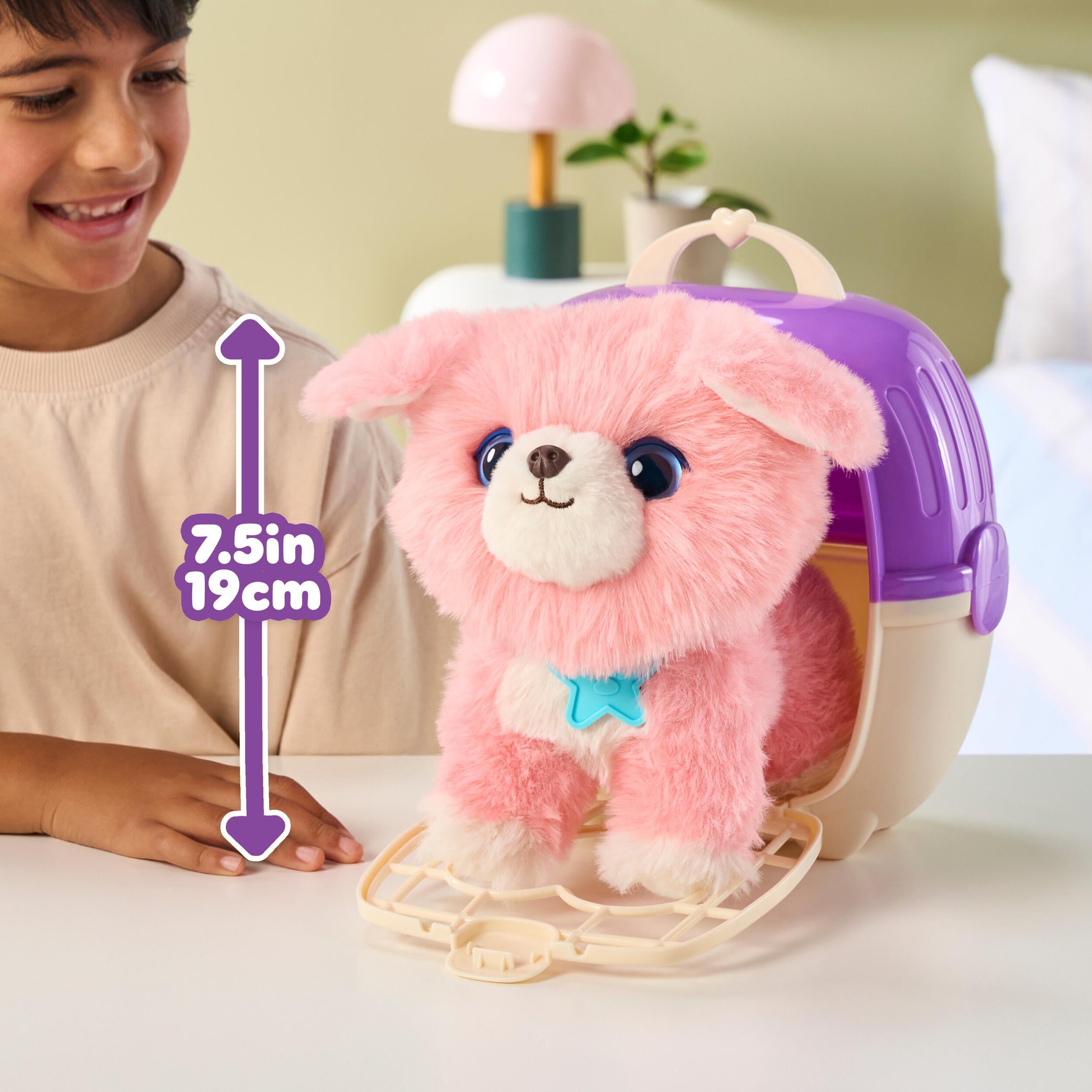 Rainbow Pet Surprise