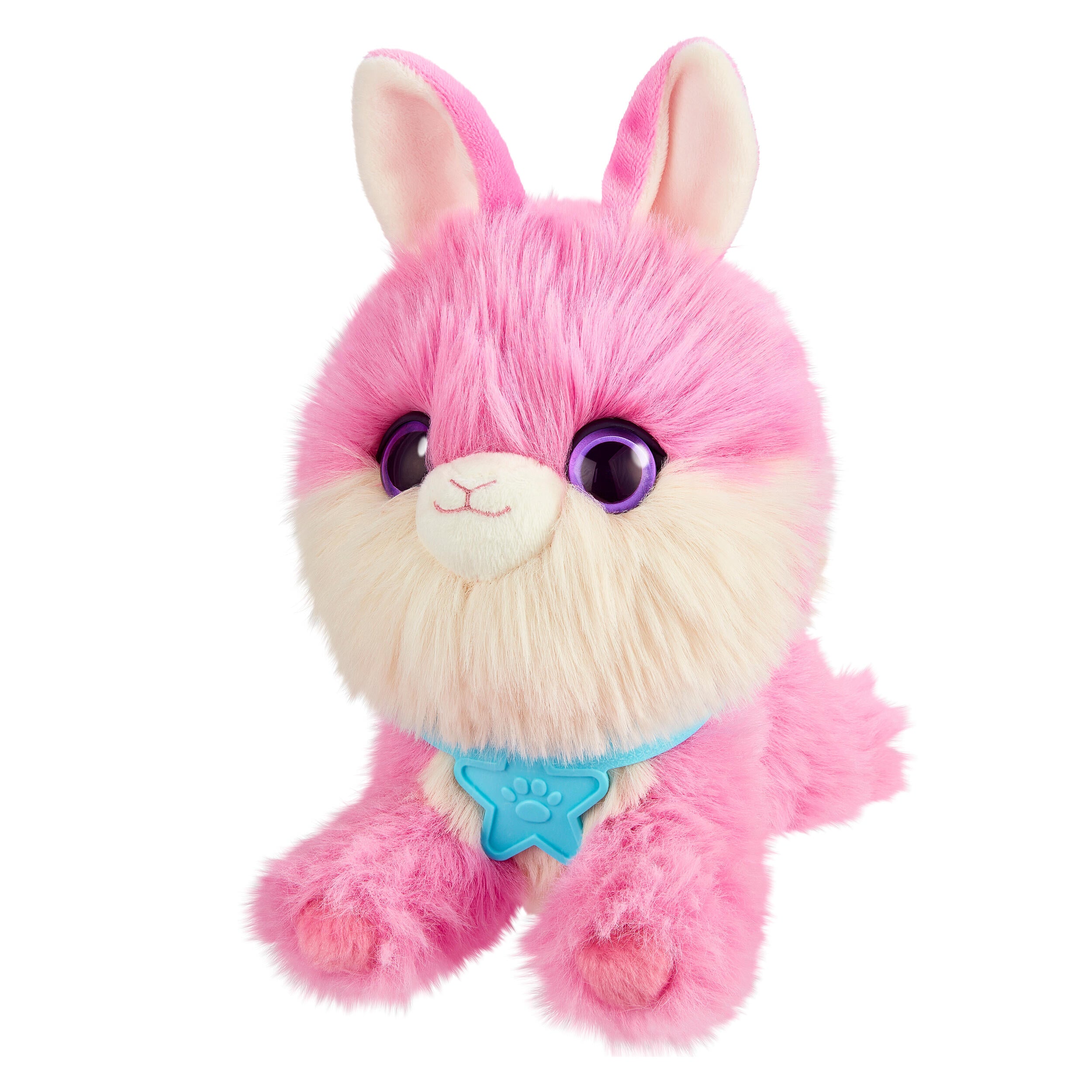 Rainbow Pet Surprise
