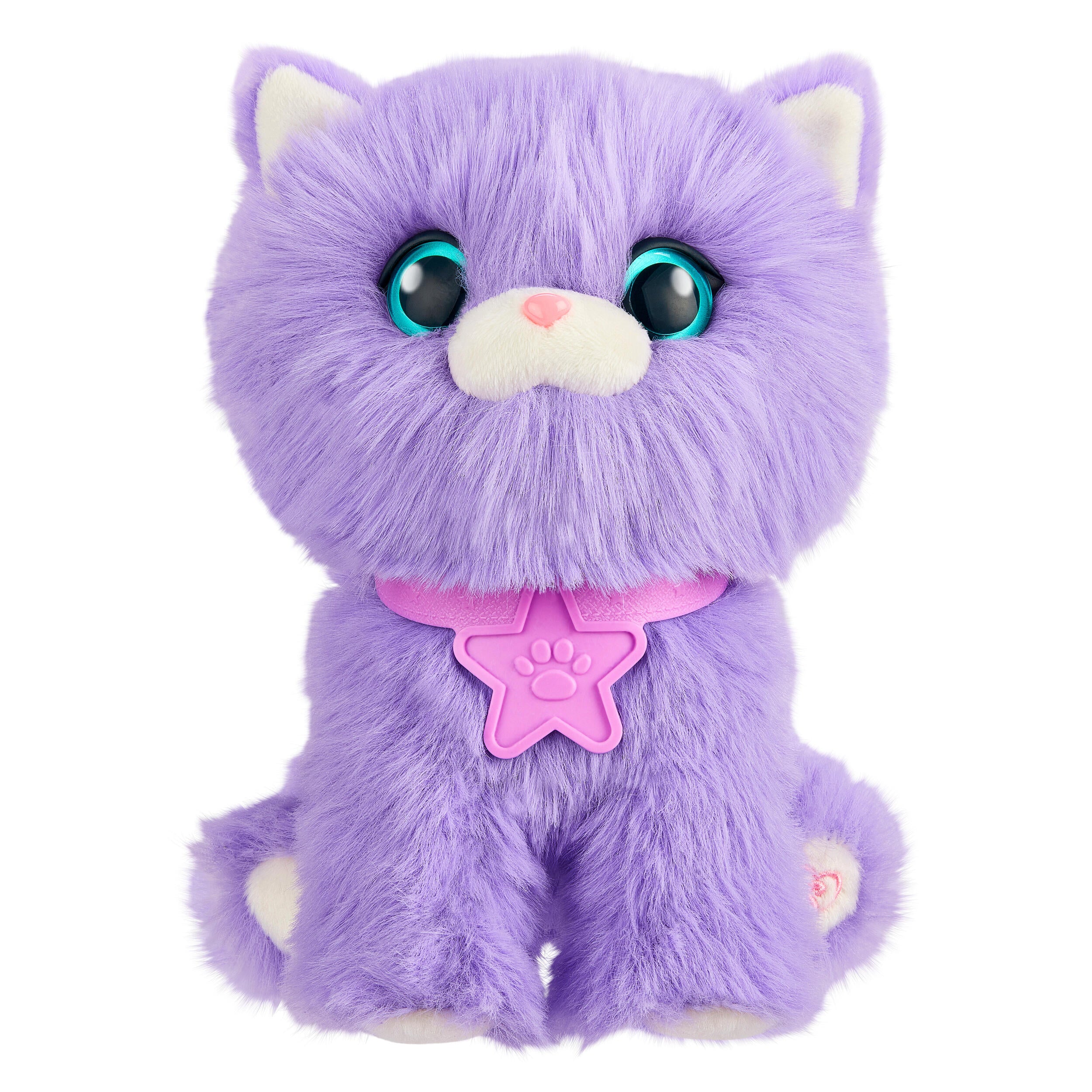 Rainbow Pet Surprise