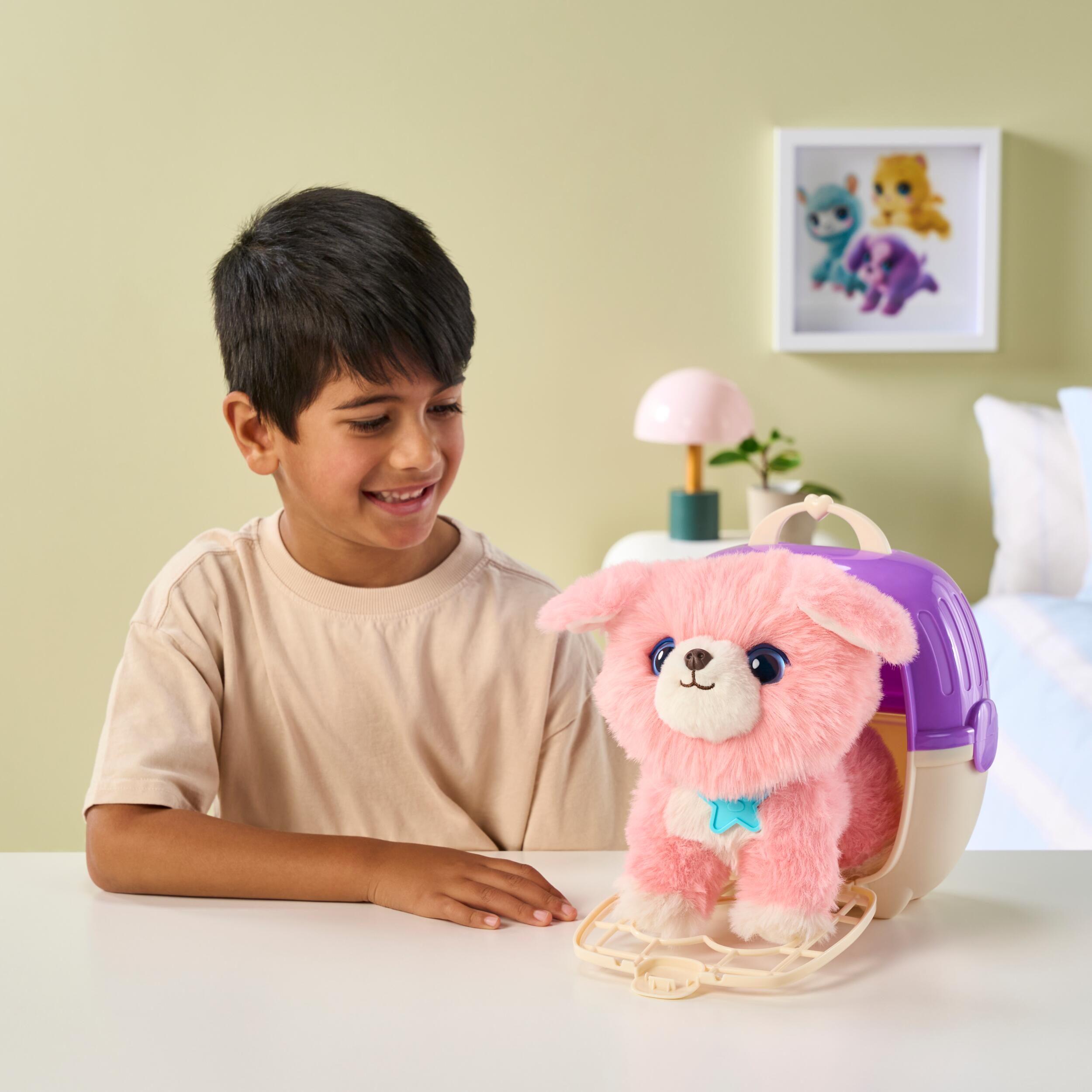 Rainbow Pet Surprise