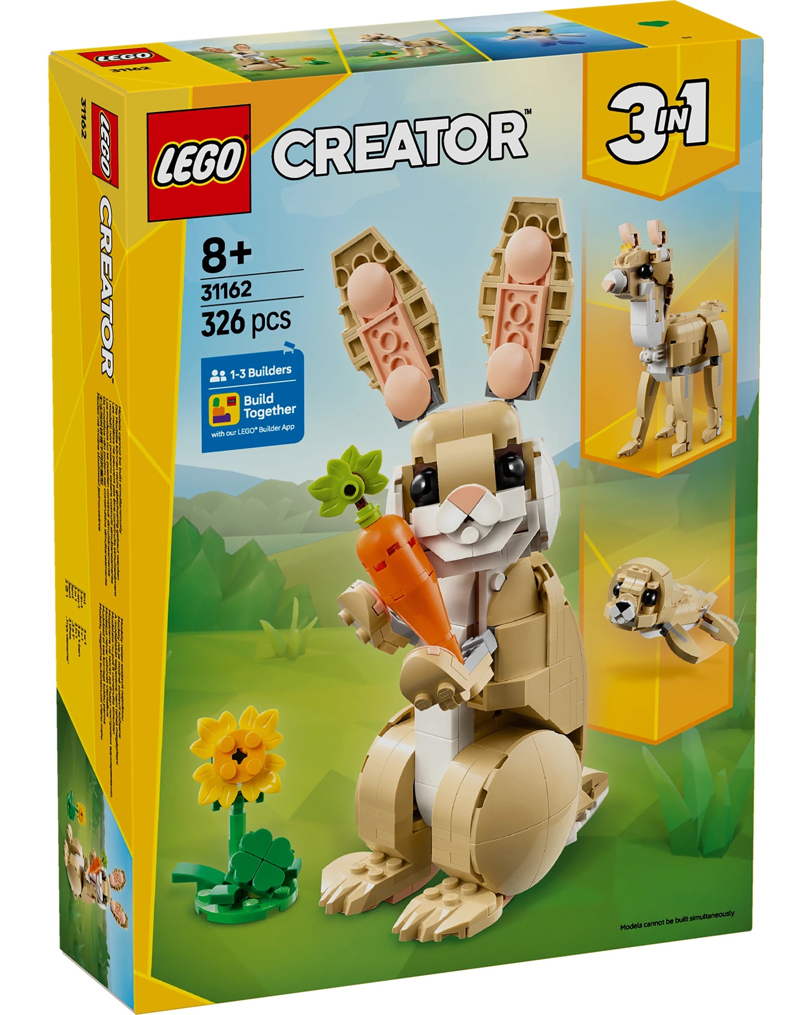 31162 Cute Bunny