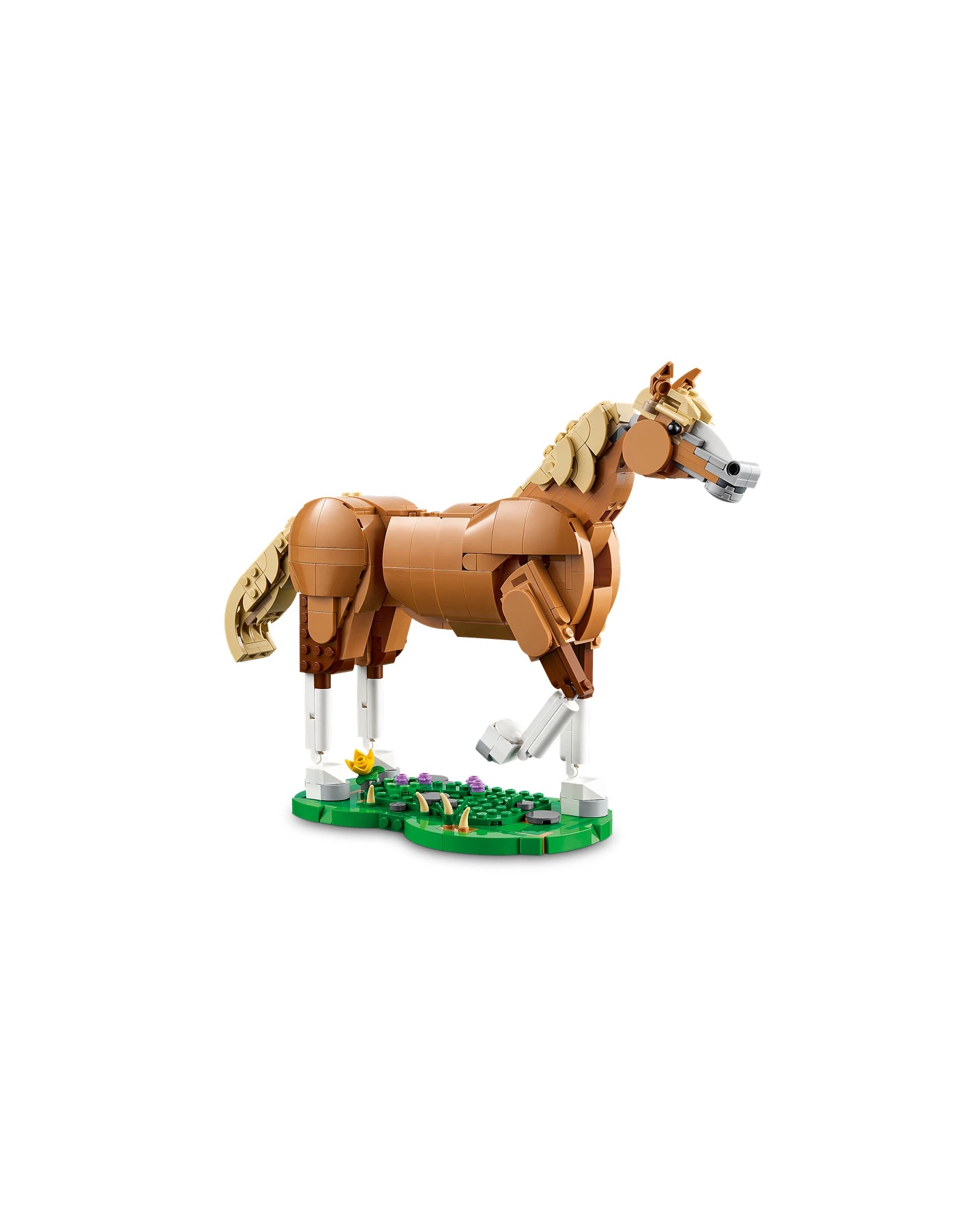 31166 Beautiful Horse