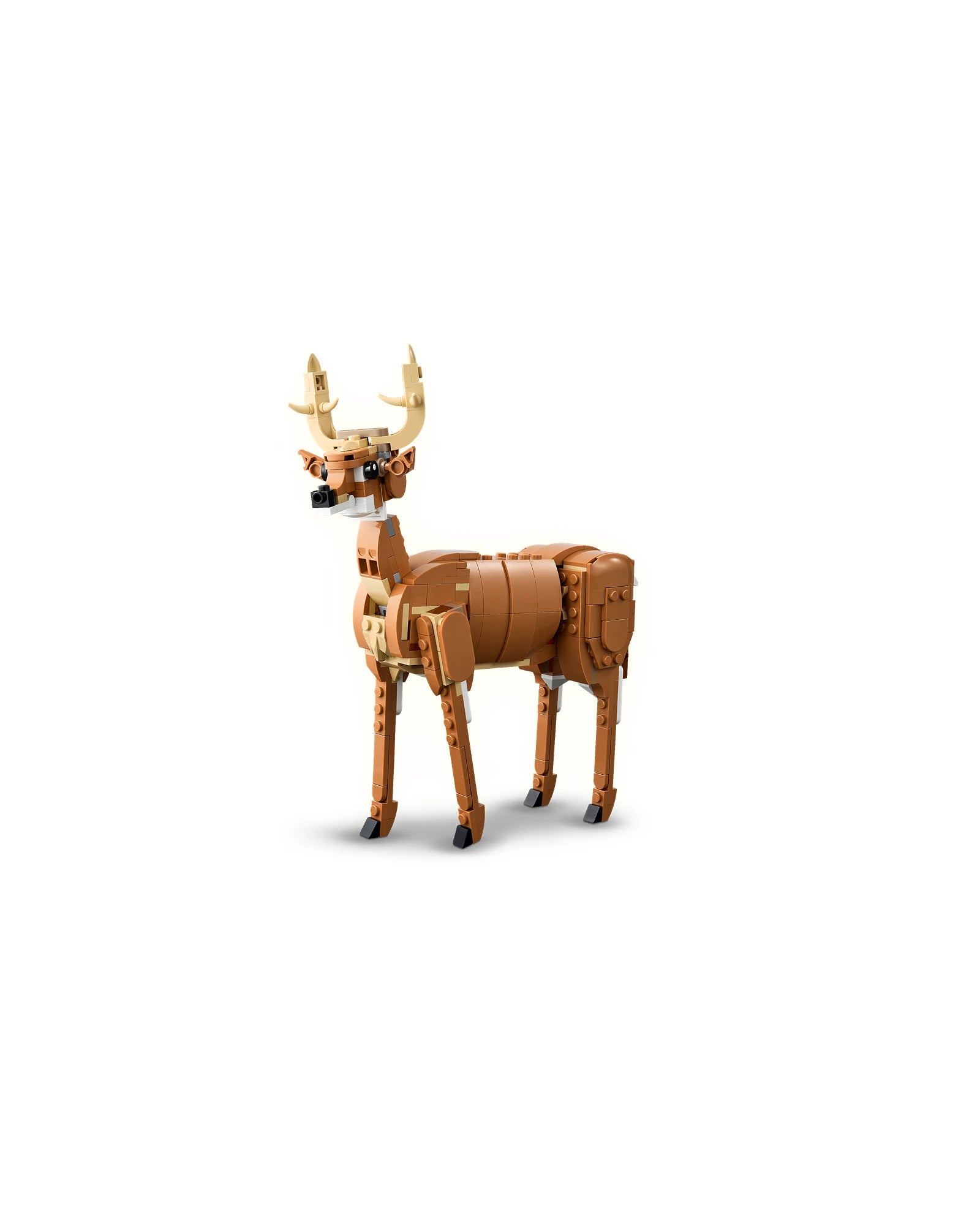 31166 Beautiful Horse