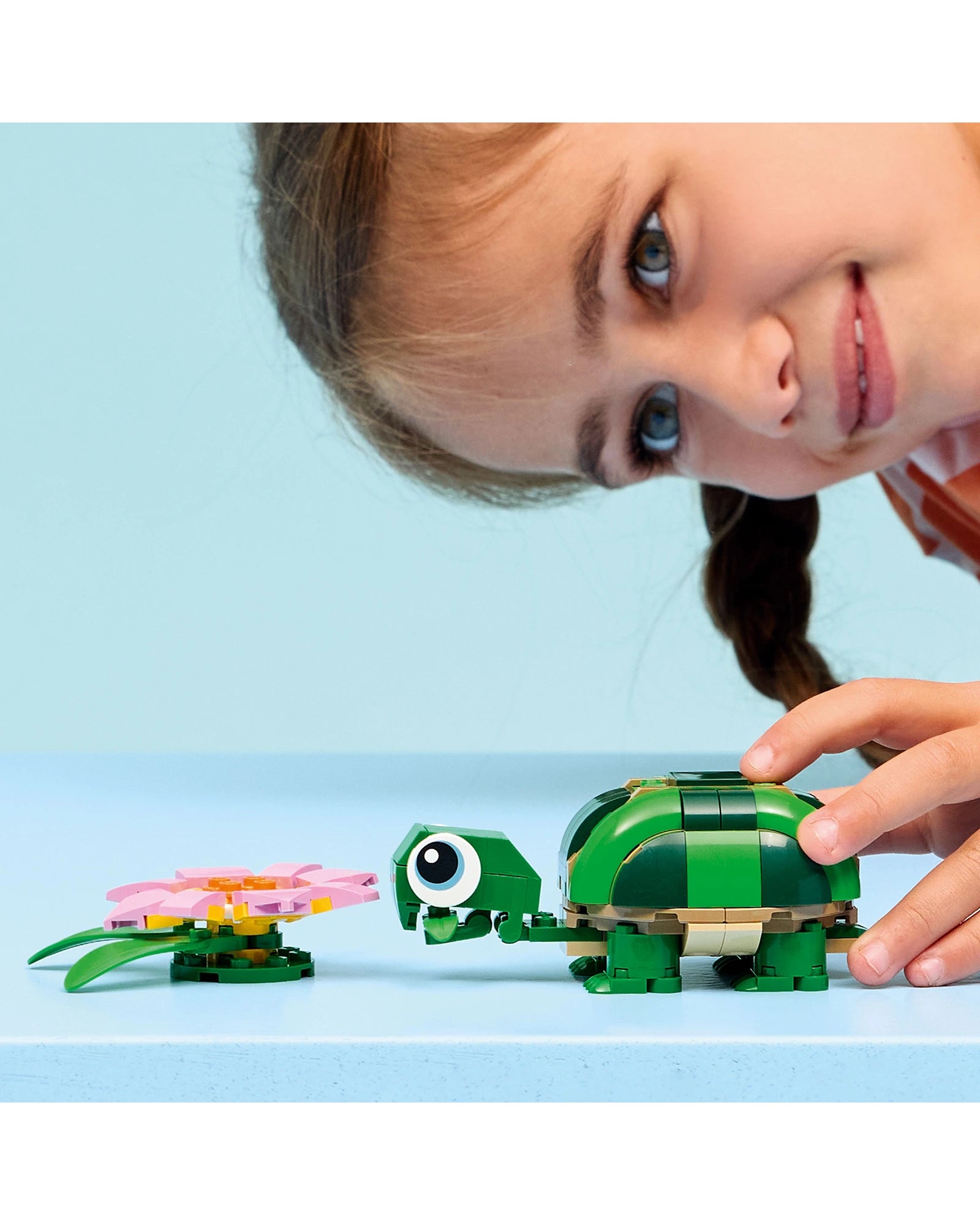 31377 Turtle with a Water Lily Flower