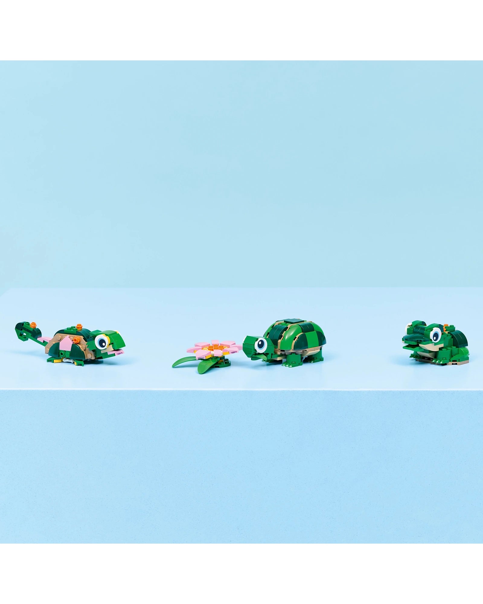 31377 Turtle with a Water Lily Flower
