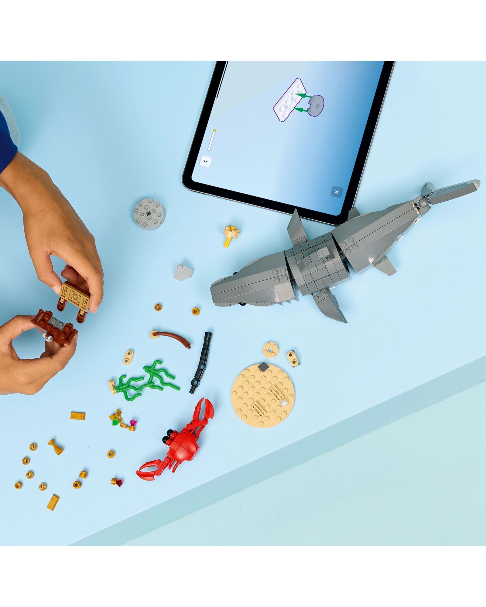 31381 Fierce Shark with a Treasure Chest