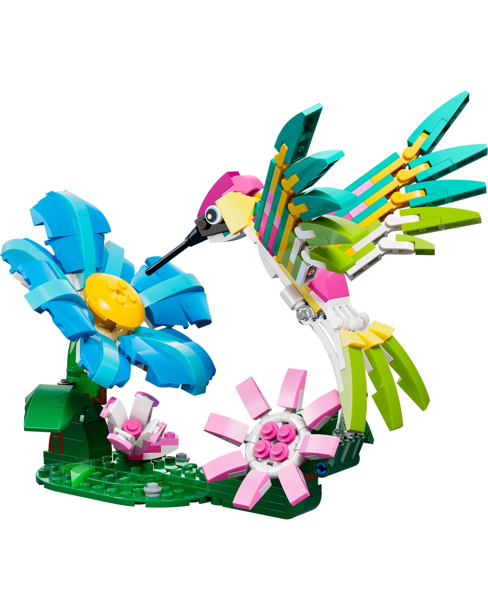 31384 Wild Animals: Colorful Hummingbird