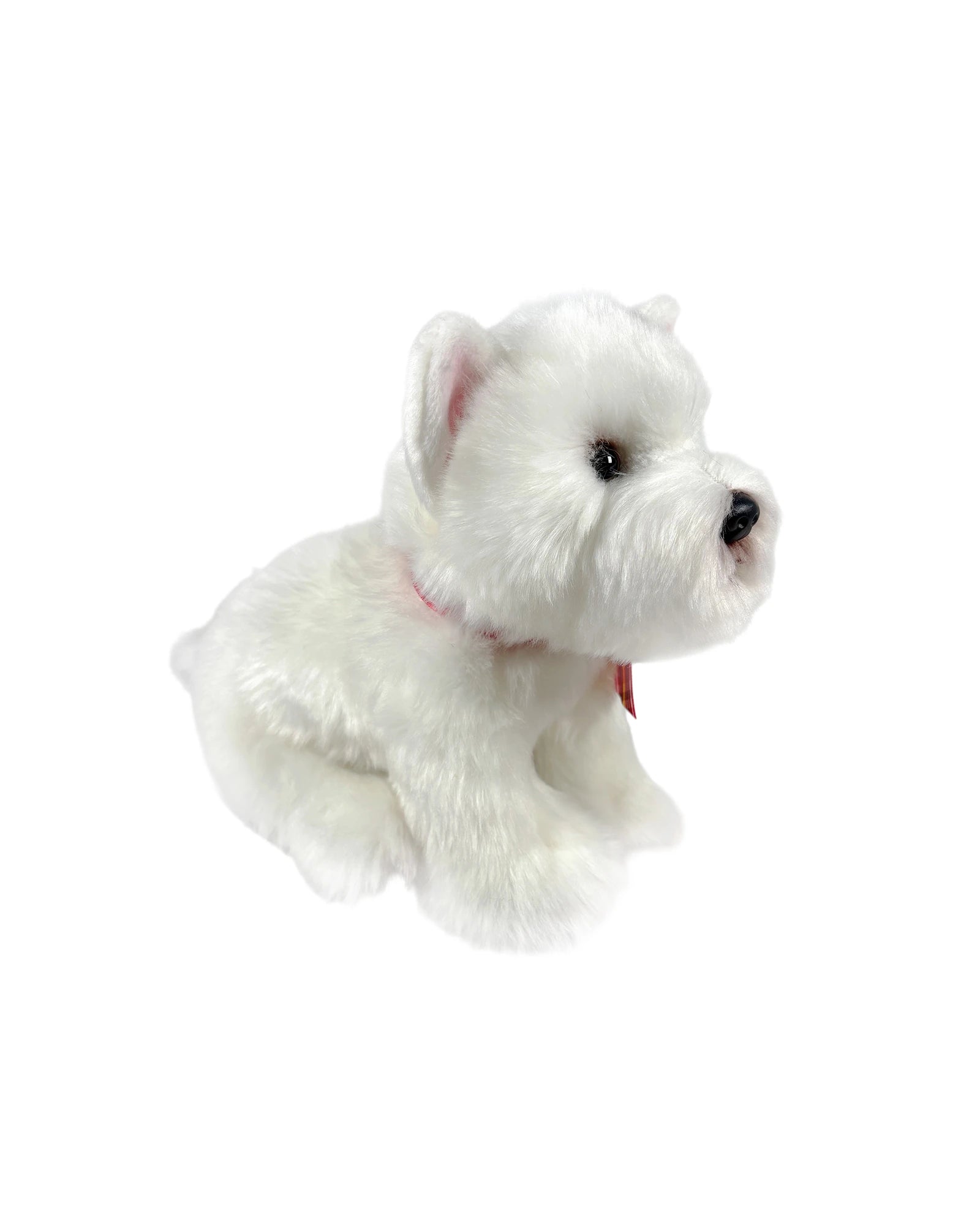 Hamish West Highland Terrier