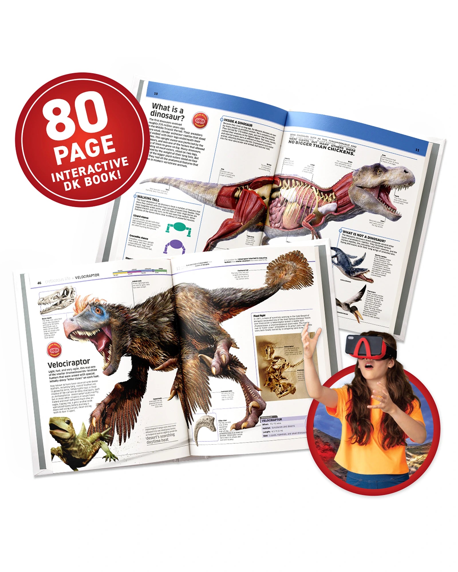 VR Gift Box Dinosaurs!