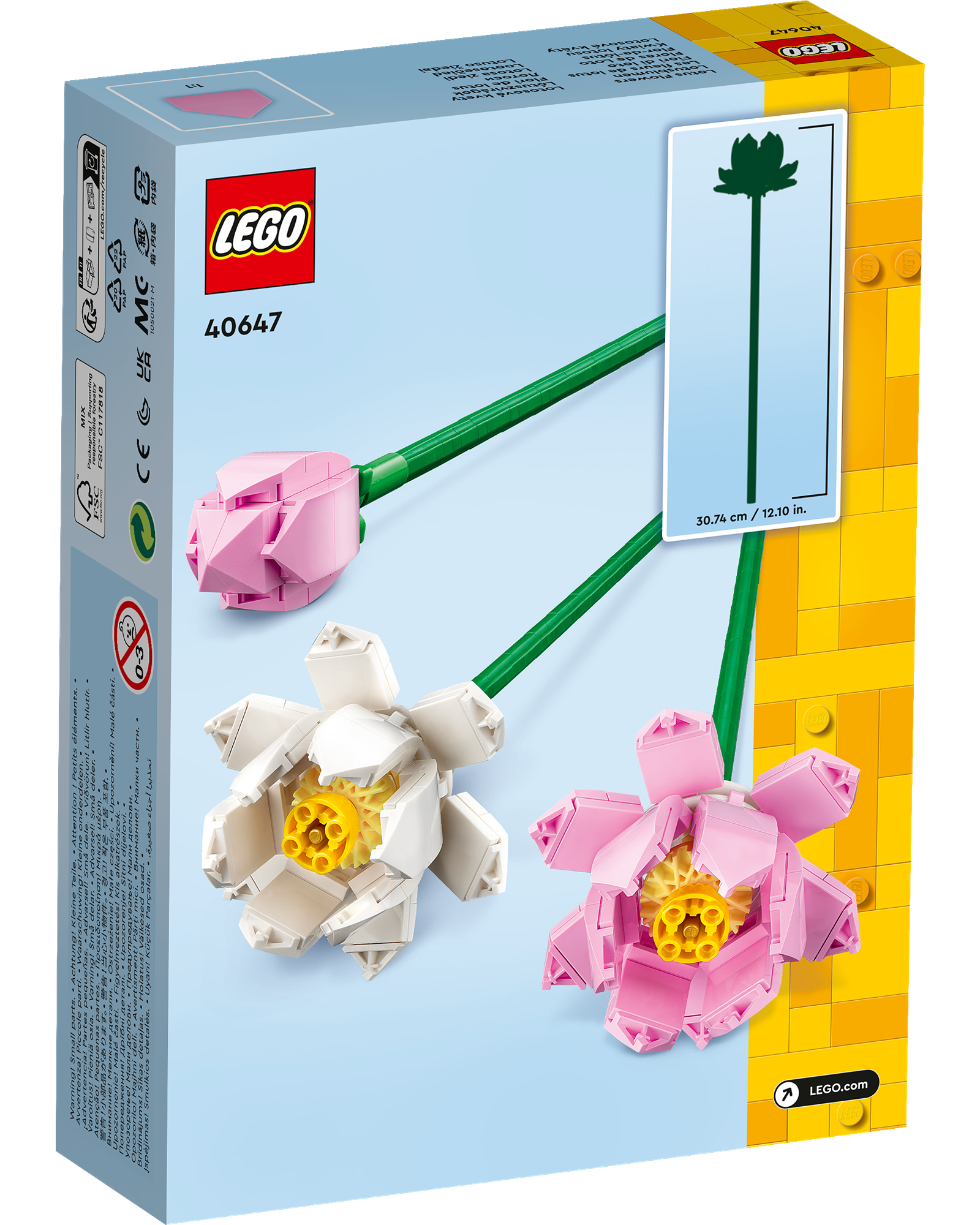 40647 Lotus Flowers