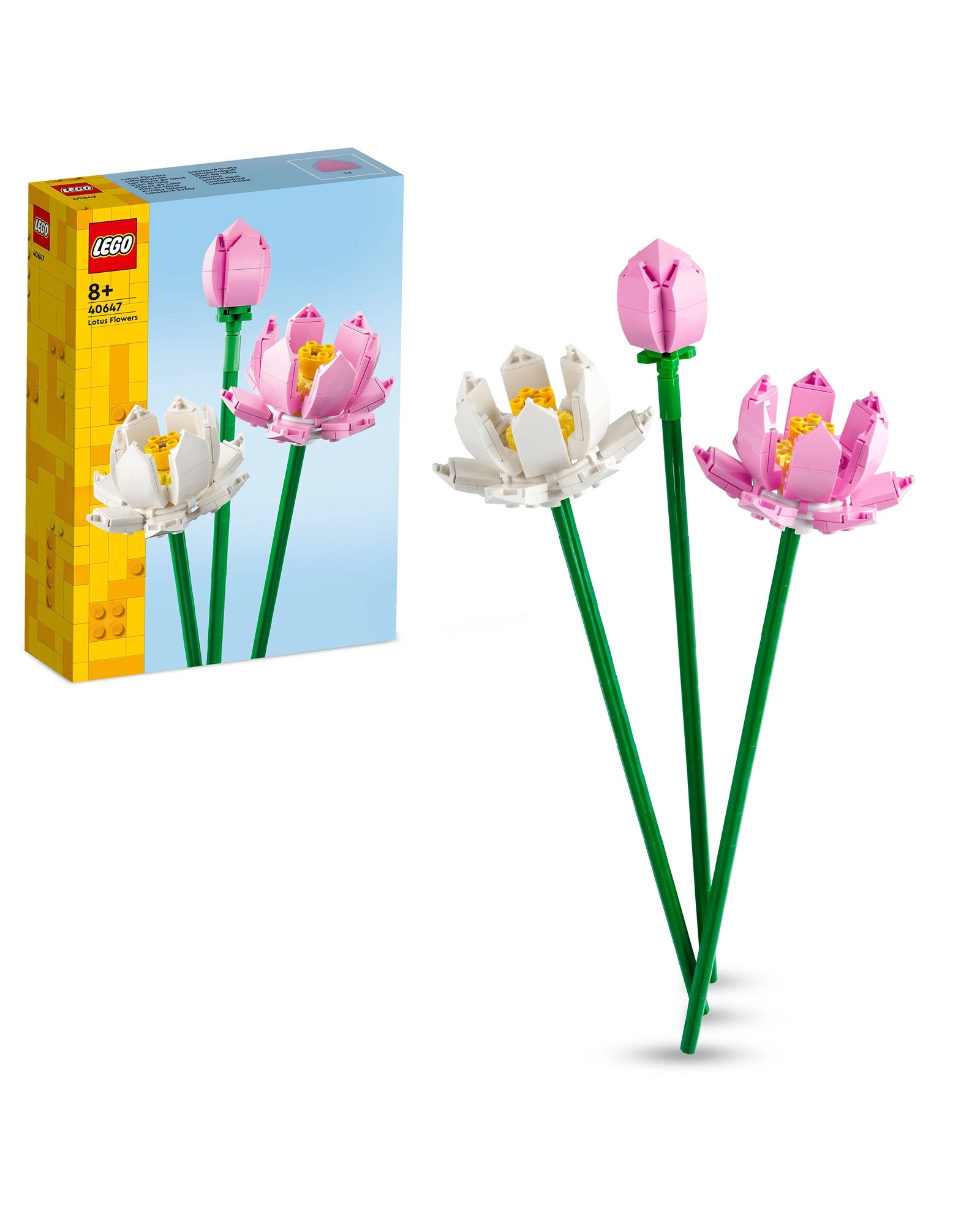 40647 Lotus Flowers