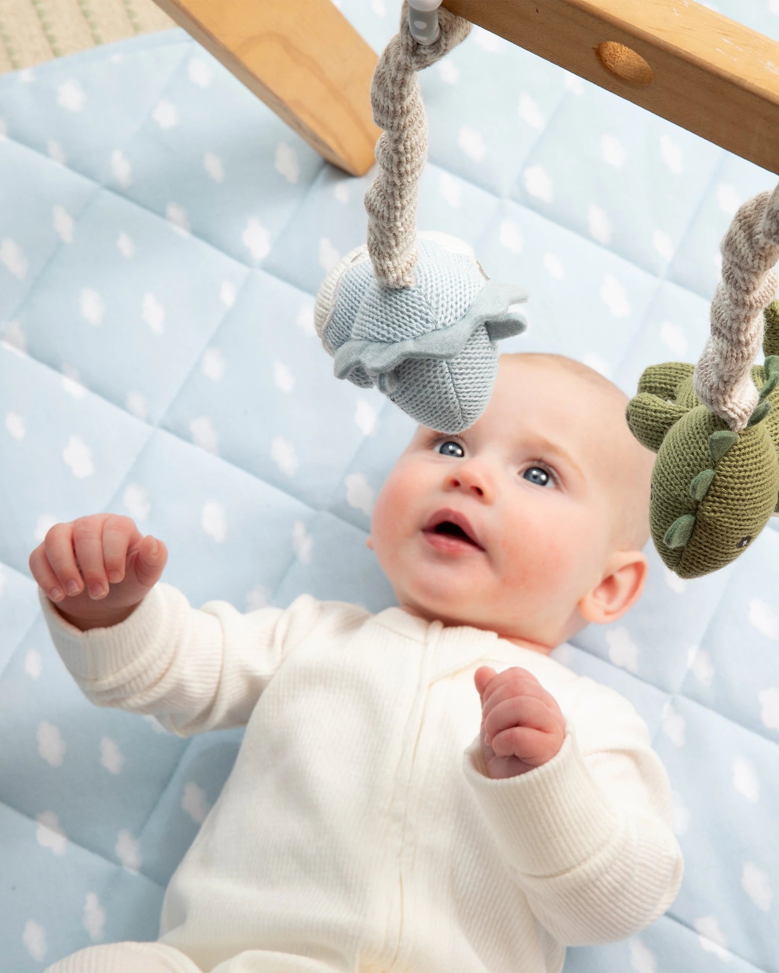 Living Textiles 2 Pack Stroller Toy - Dinosaur