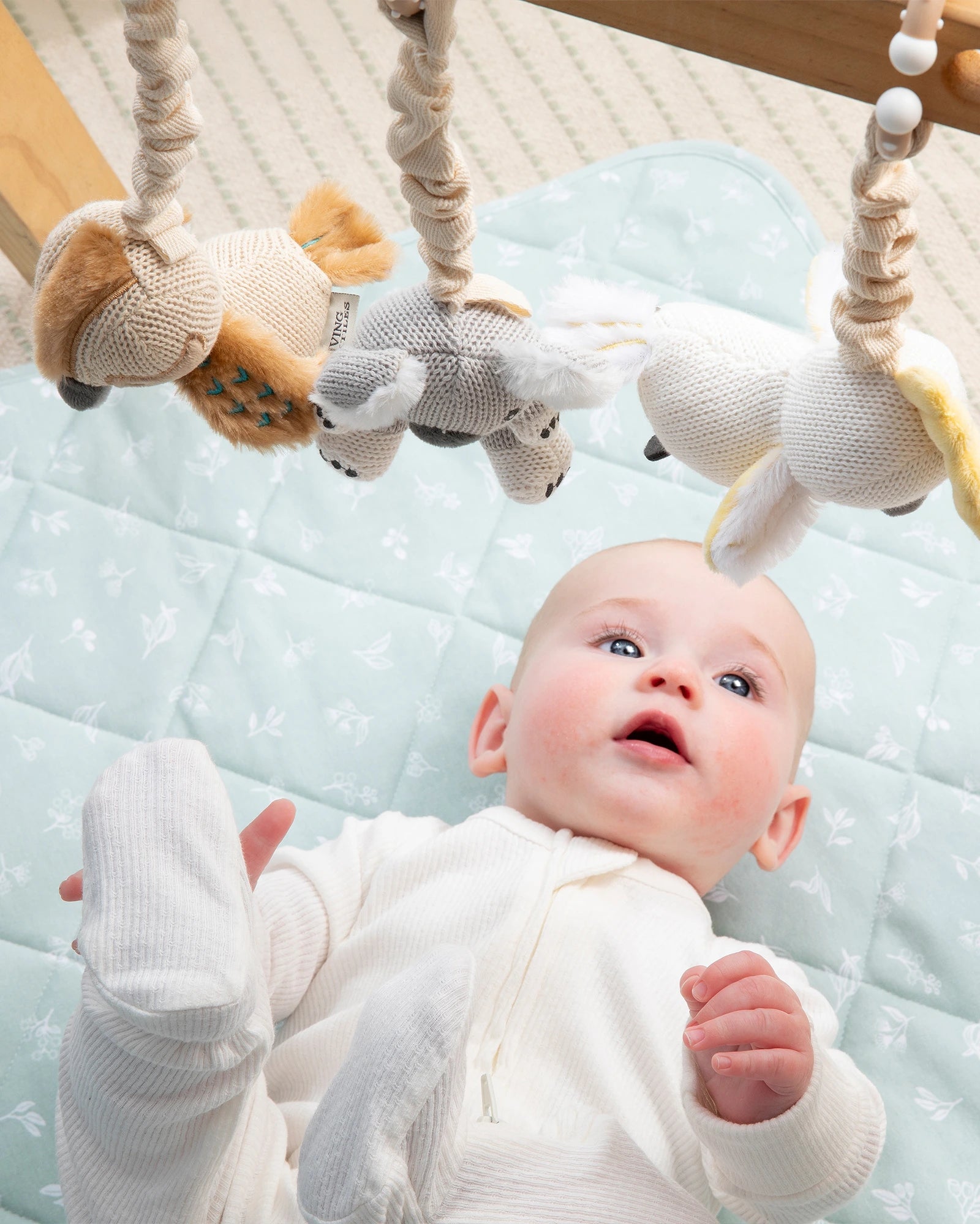 Living Textiles 2 Pack Stroller Toy - Koala & Cockatoo