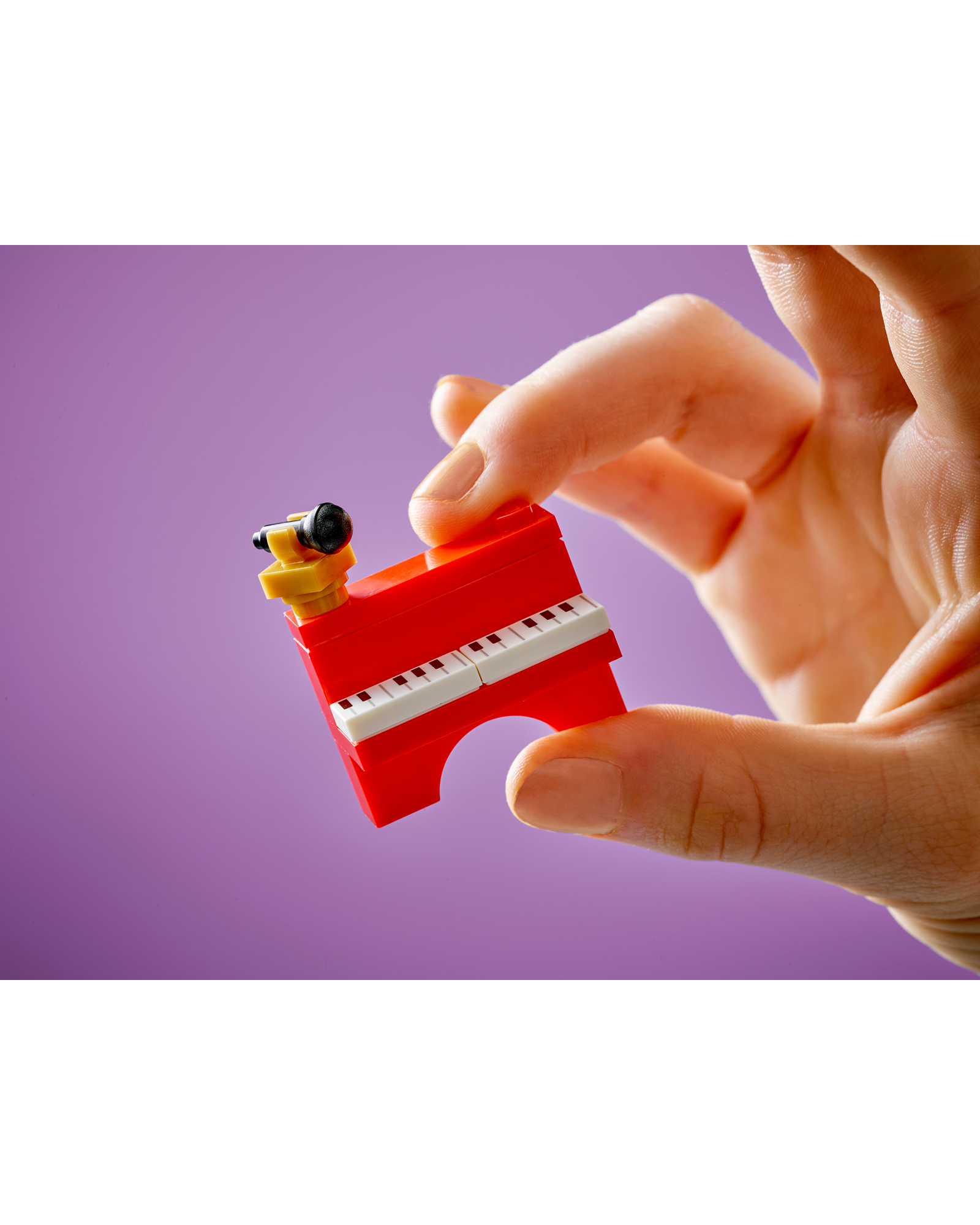 42653 Music Store & Apartment