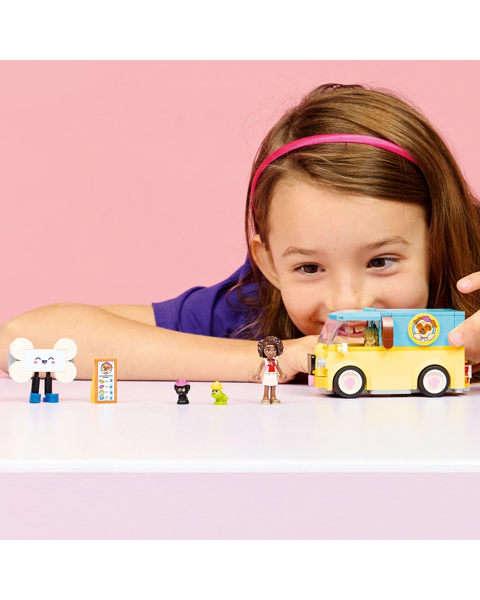 42678 Pet Accessories Van