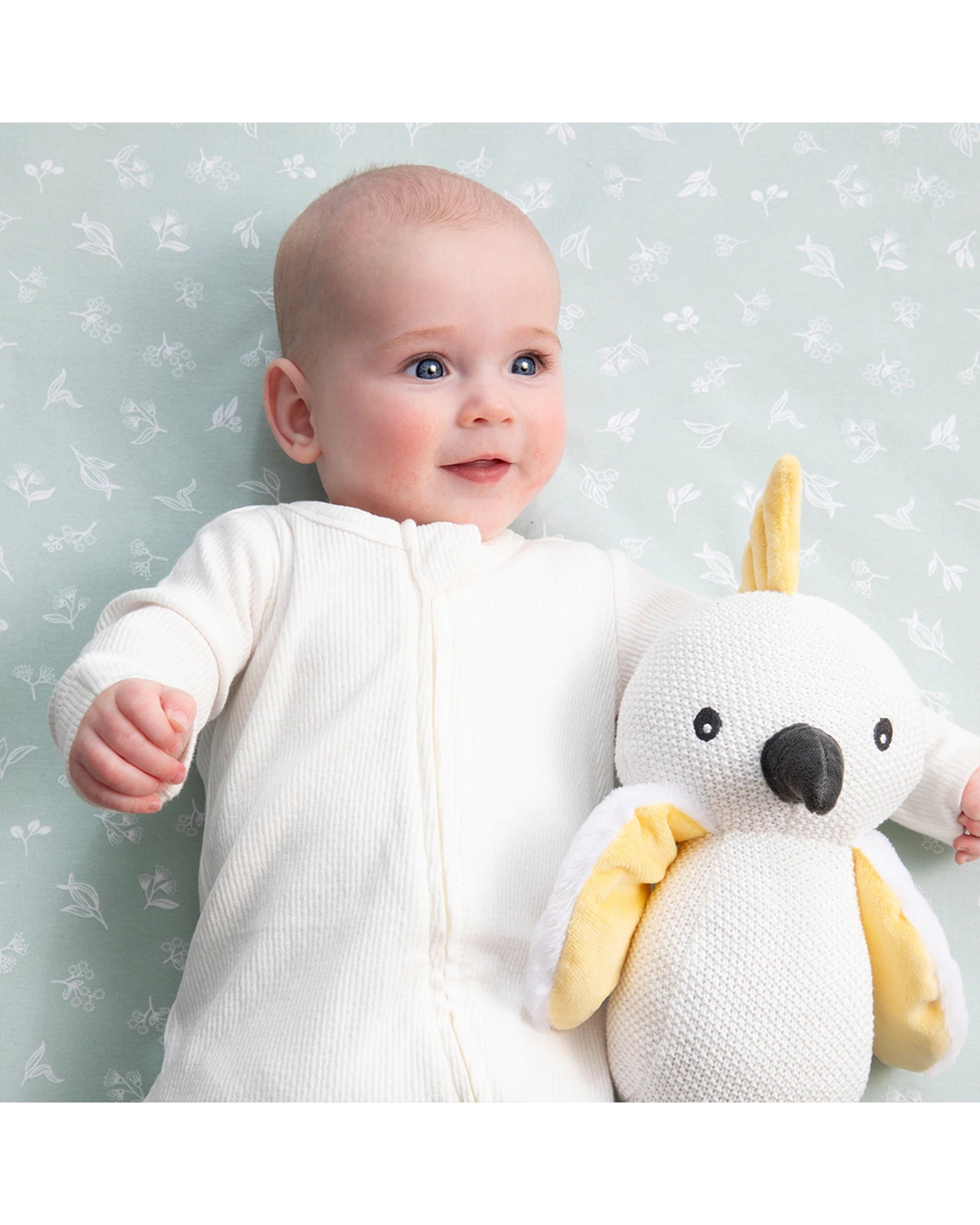 Colin the Cockatoo Knitted Toy